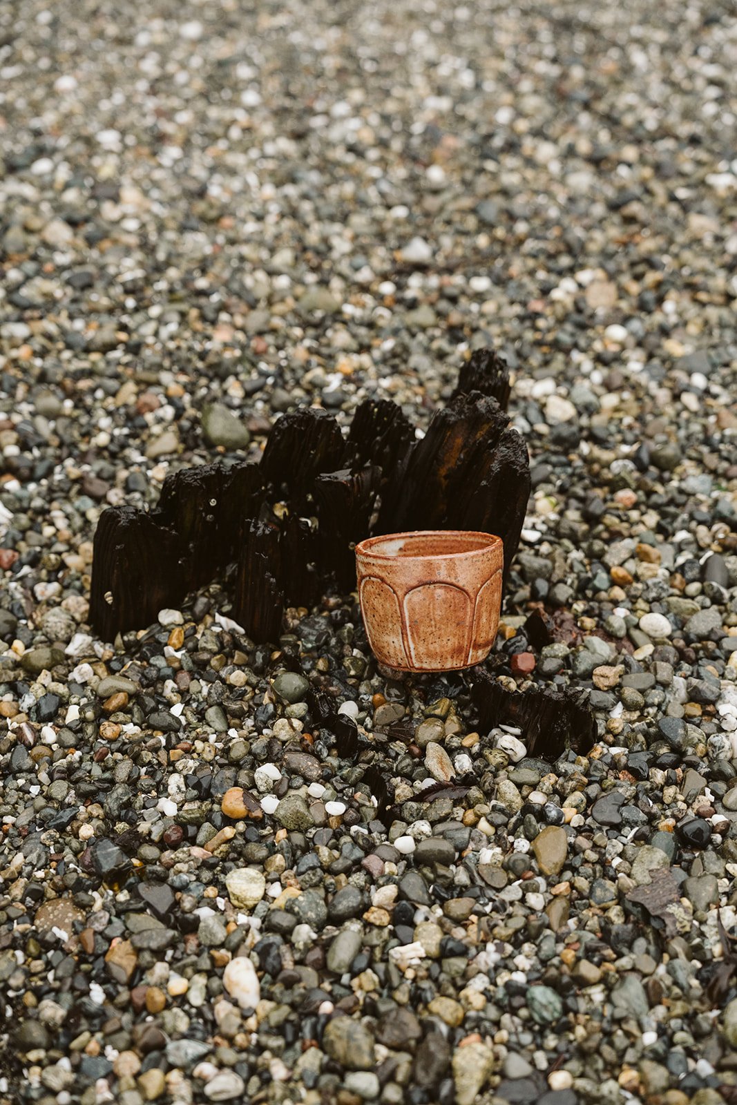 court short facted cup .jpg