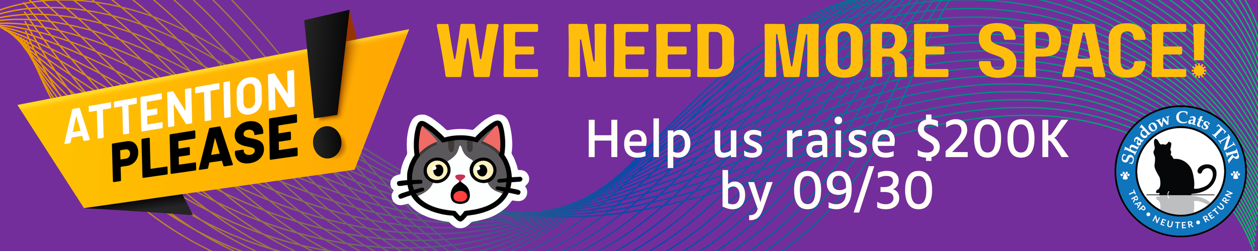 Capital Campaign Banner.png