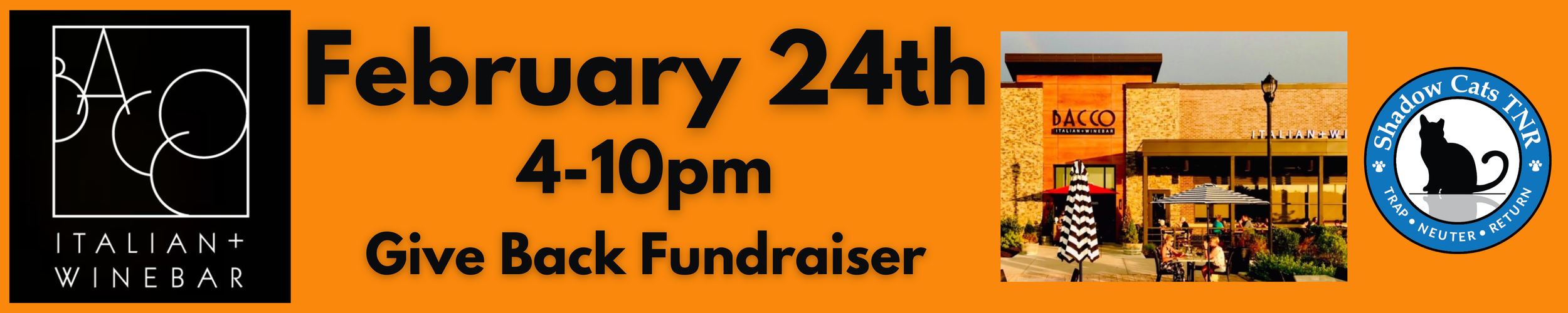 Bacco Home Page (60 × 12 in).png