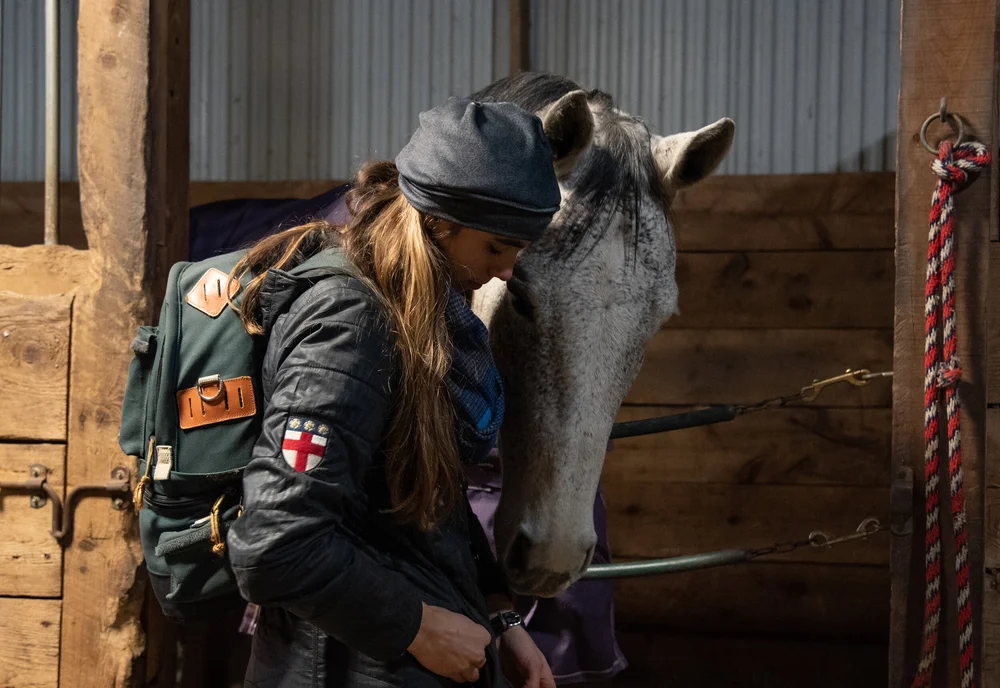 Volunteer — Sunshine Horses