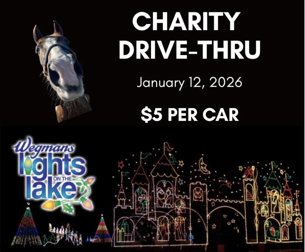 Lights on the Lake Charity Night