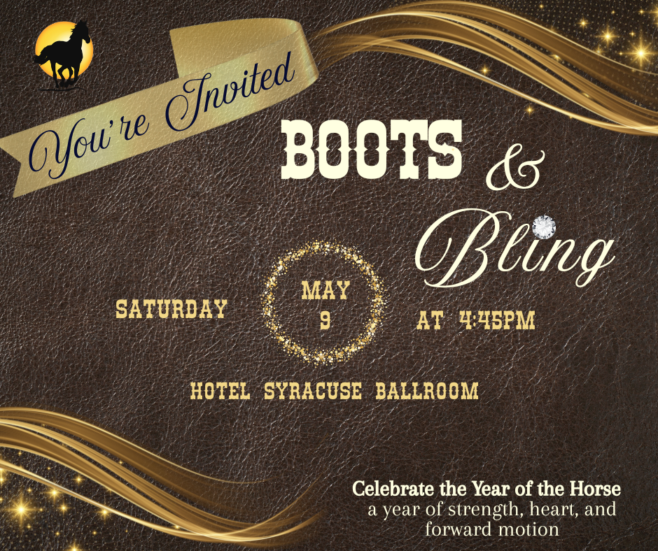 Sunshine Horses      Boots and Bling Gala