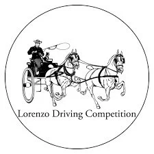 Lorenzo Driving Competition