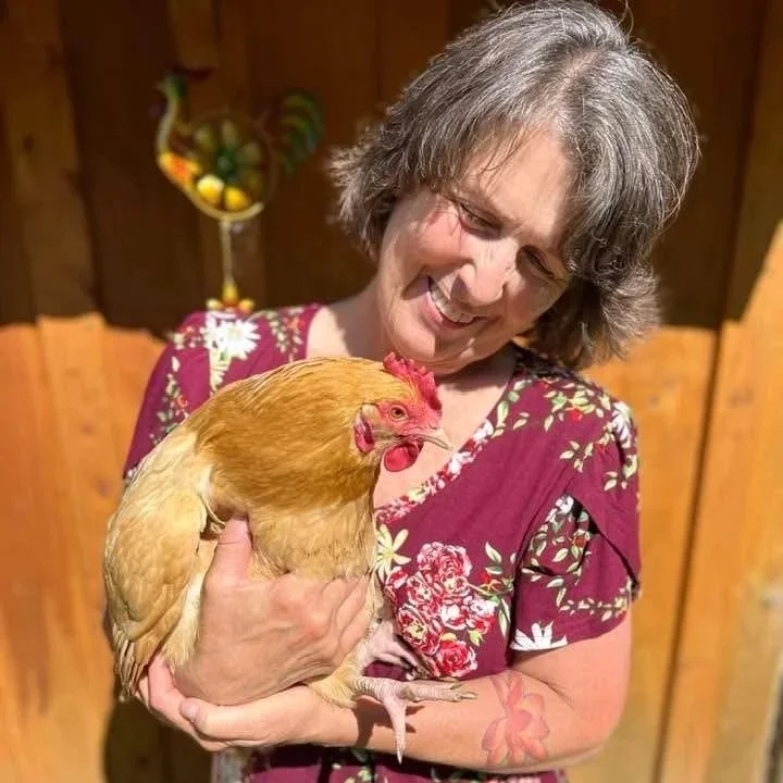 A woman with short gray hair smiling and holding a large, light brown chicken inside a wooden structure.
