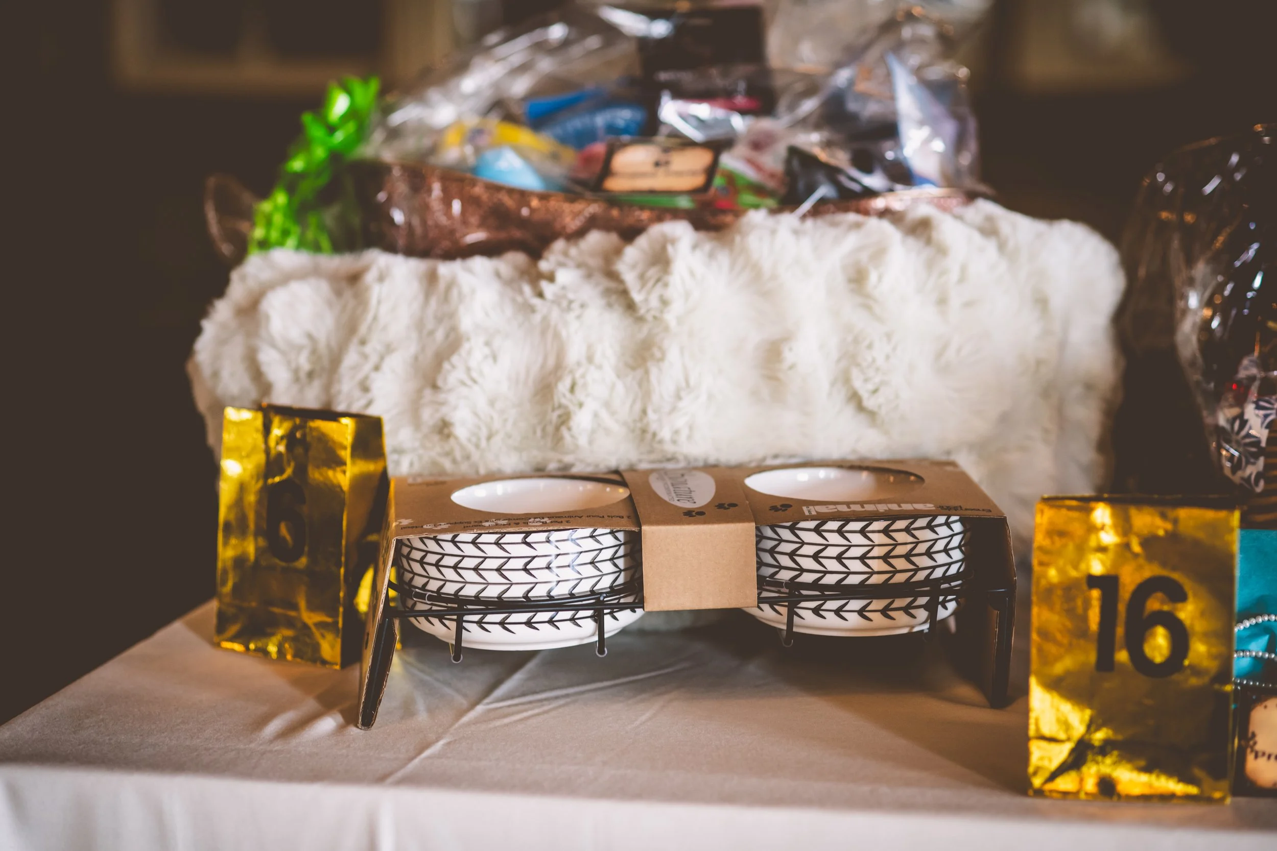sunshine fundraiser-24.jpg