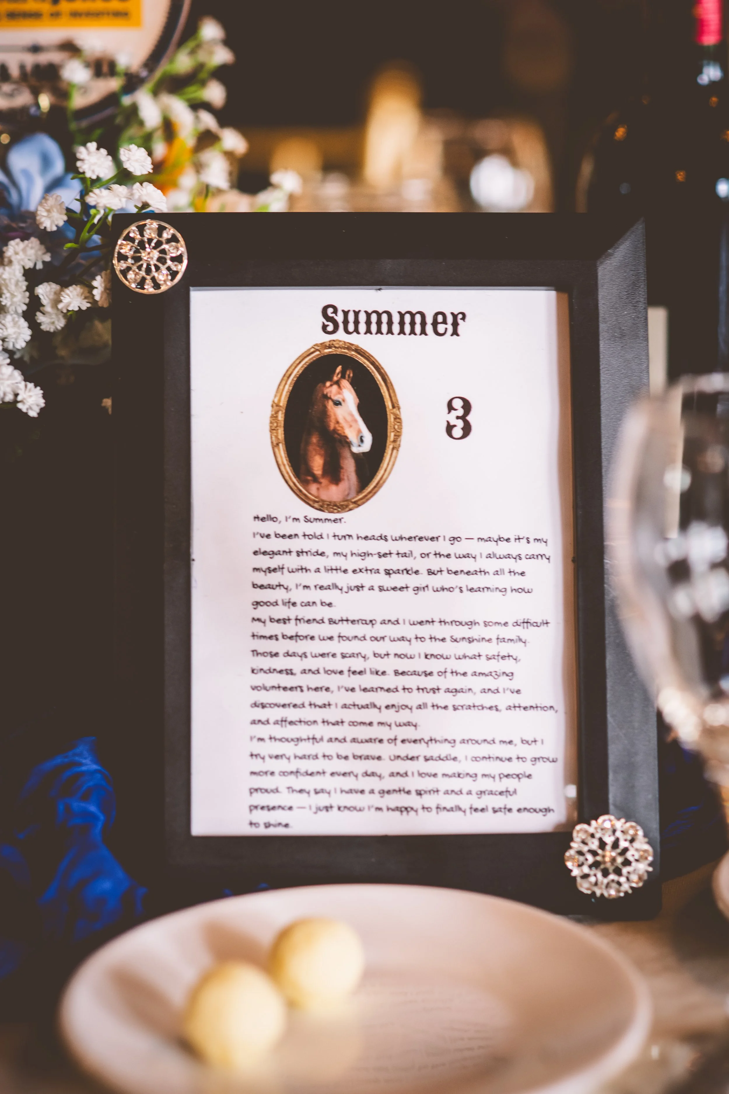 sunshine fundraiser-5.jpg