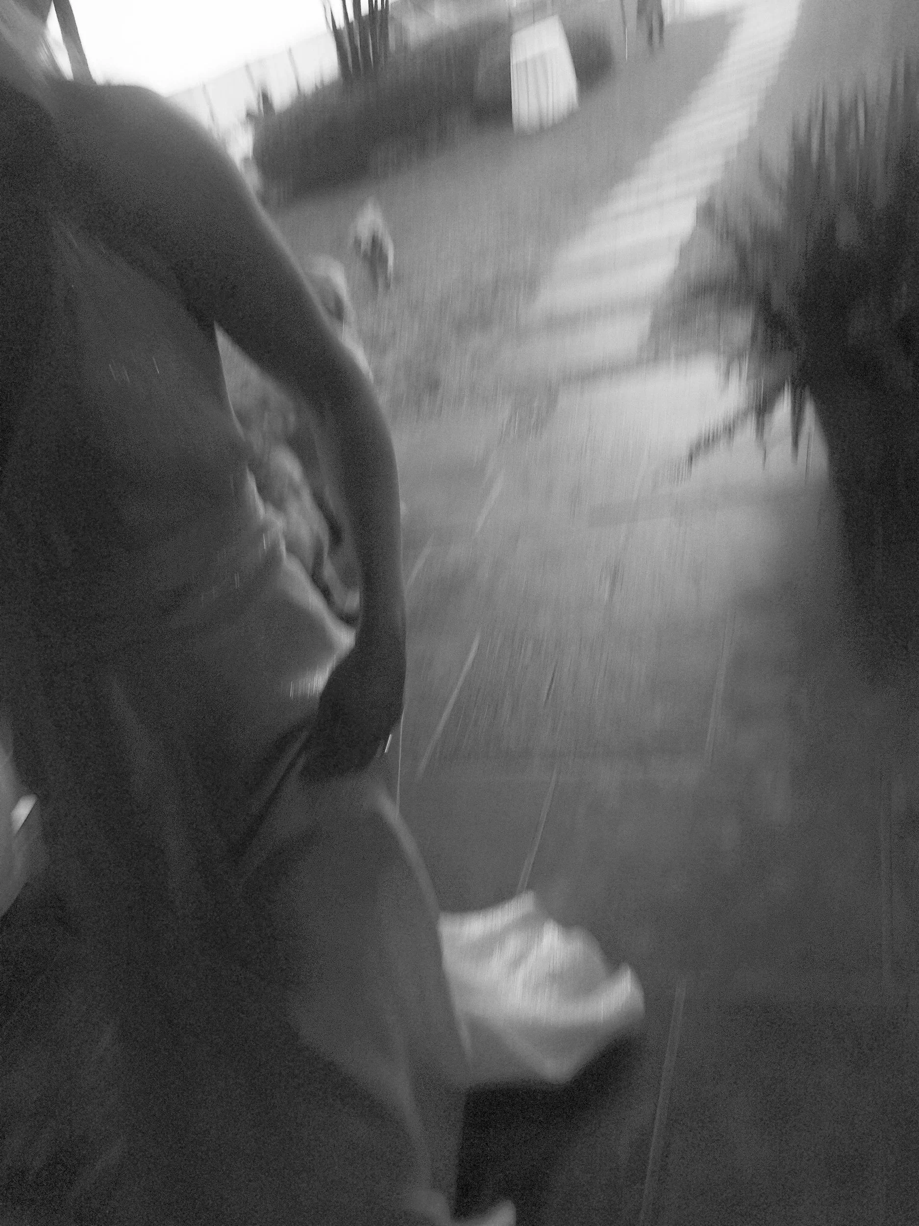 DSCF0034.jpg