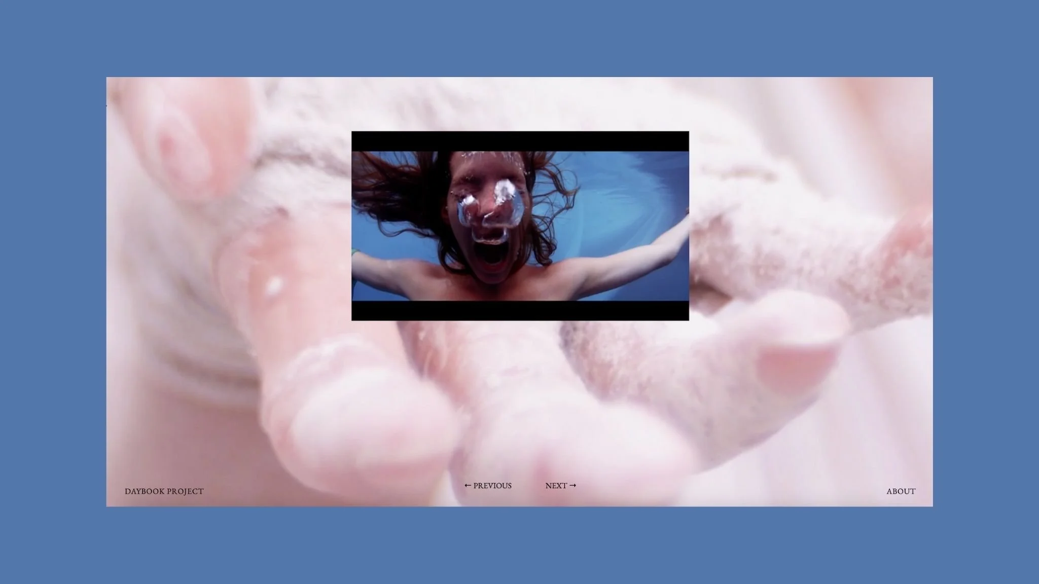 daybook homepage.jpg