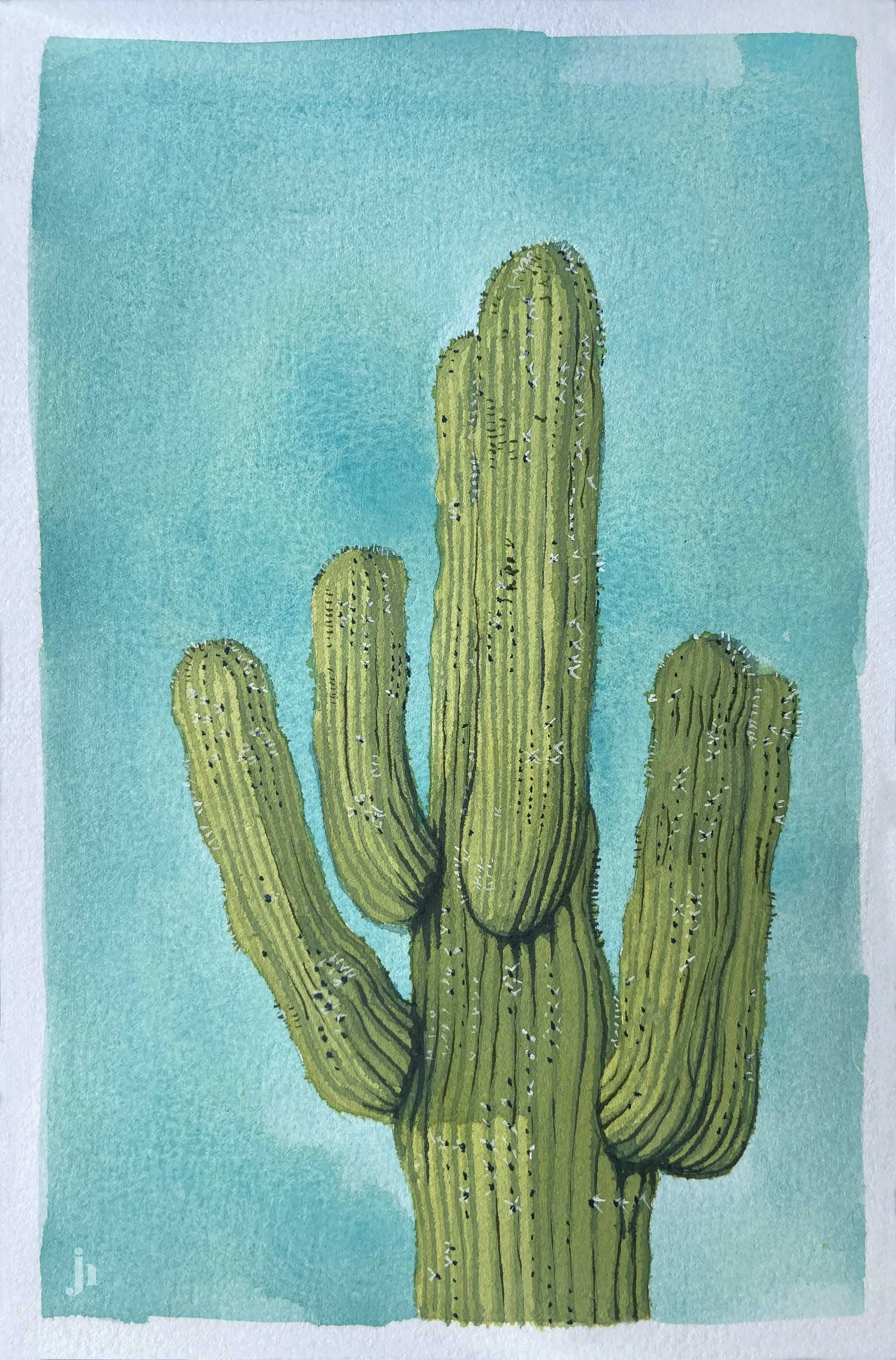 Saguaro.jpg