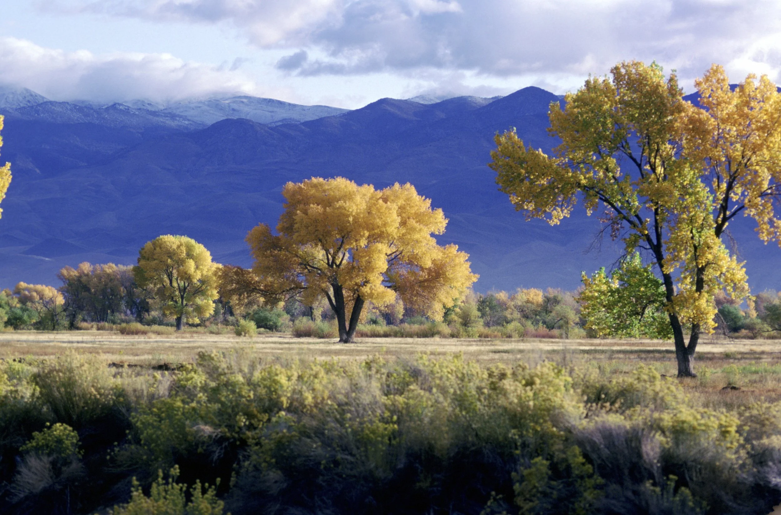 First Day of Fall - Happy Equinox — George Anderson Fine Art Nature ...
