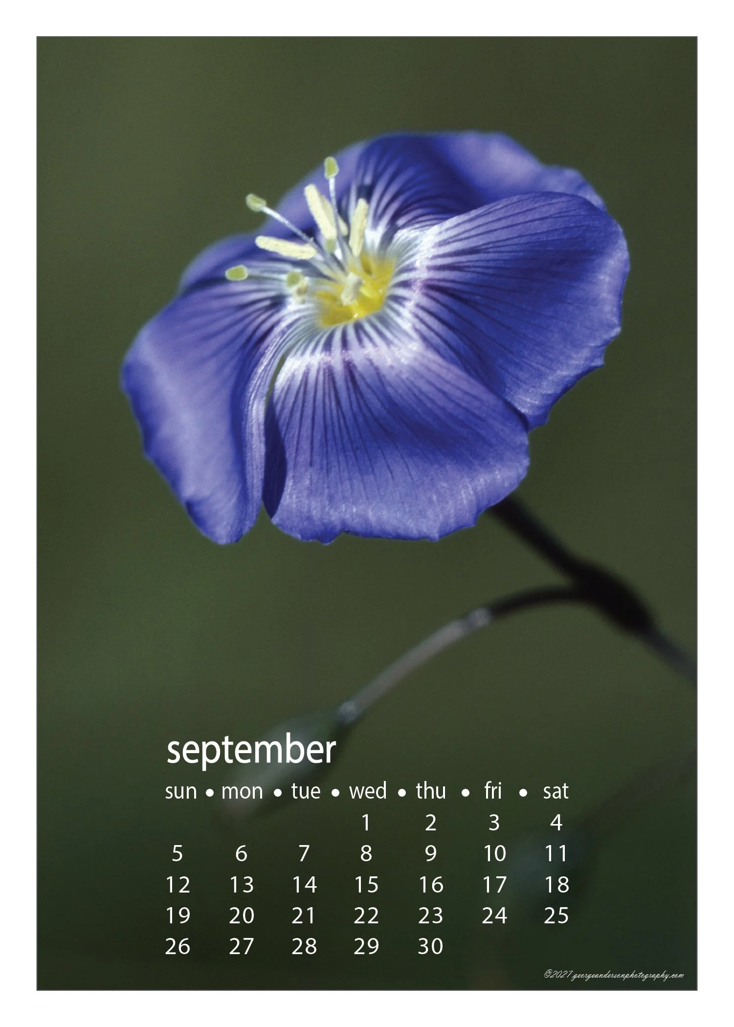 5x7 2027 Calendar Postcard-17.jpg