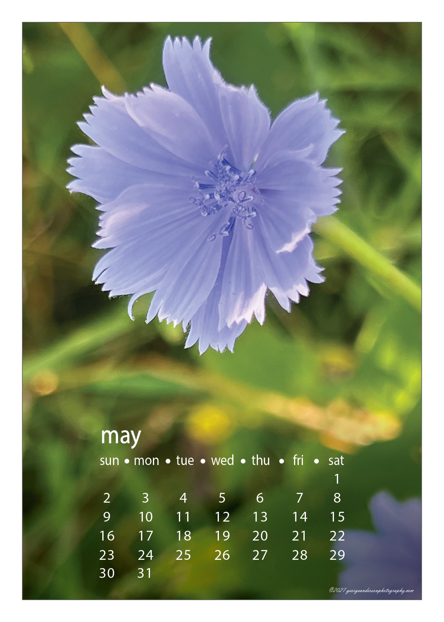 5x7 2027 Calendar Postcard-09.jpg
