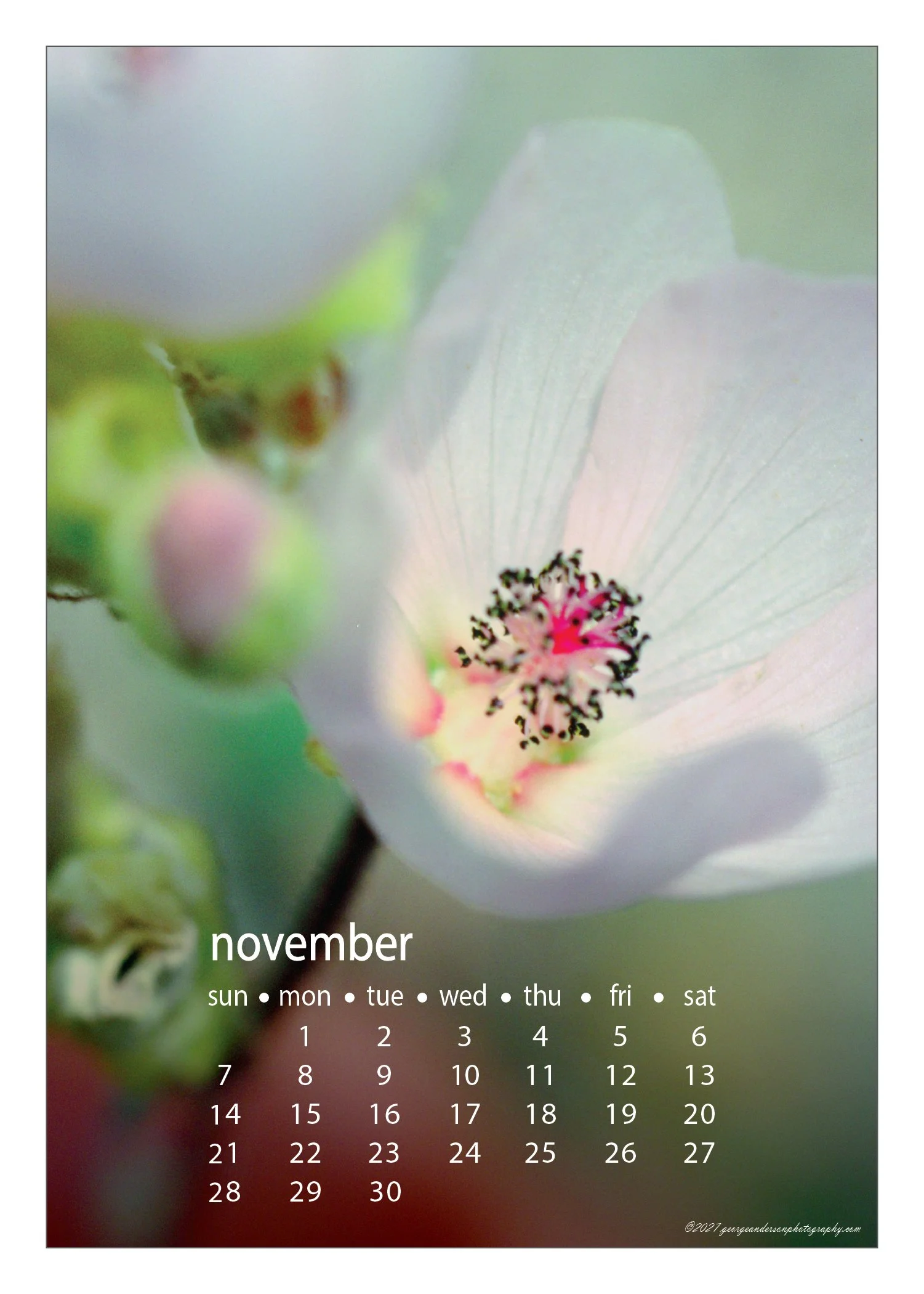 5x7 2027 Calendar Postcard-21.jpg
