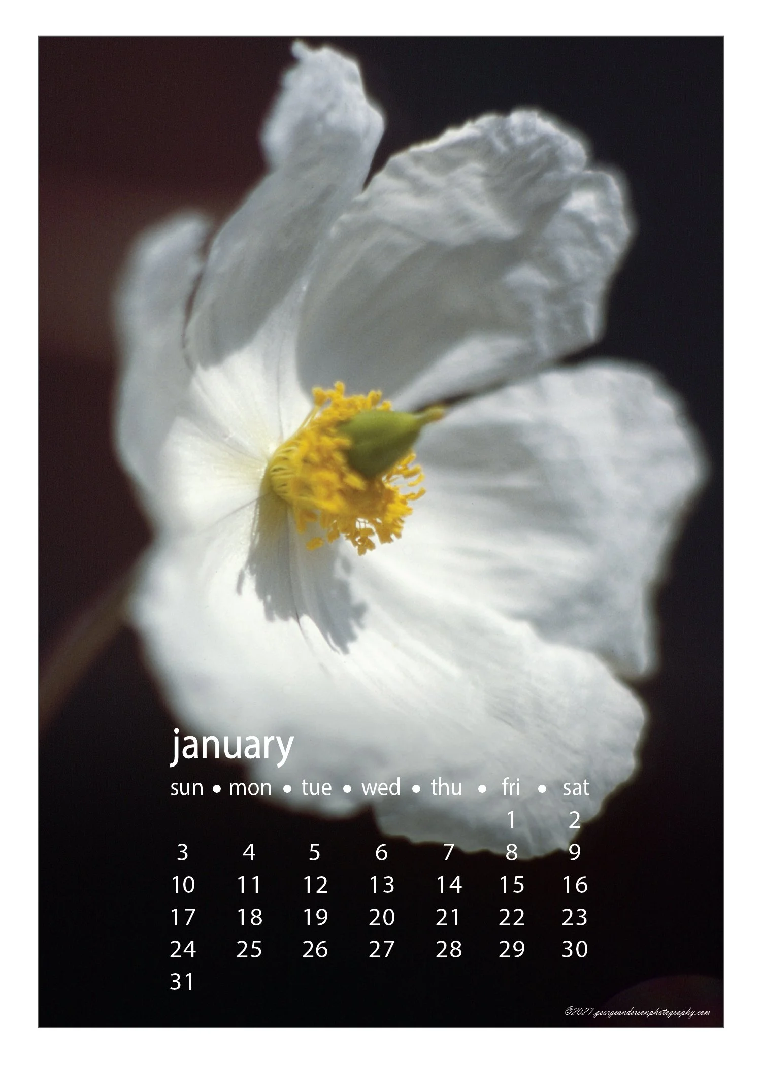 5x7 2027 Calendar Postcard-01.jpg