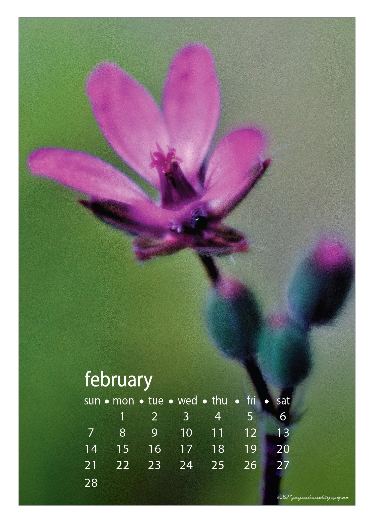 5x7 2027 Calendar Postcard-03.jpg