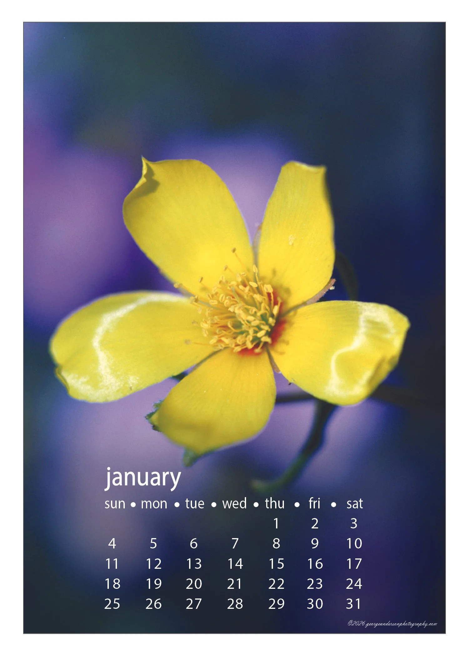 5x7 2026 Calendar Postcard-01 Jan.jpg