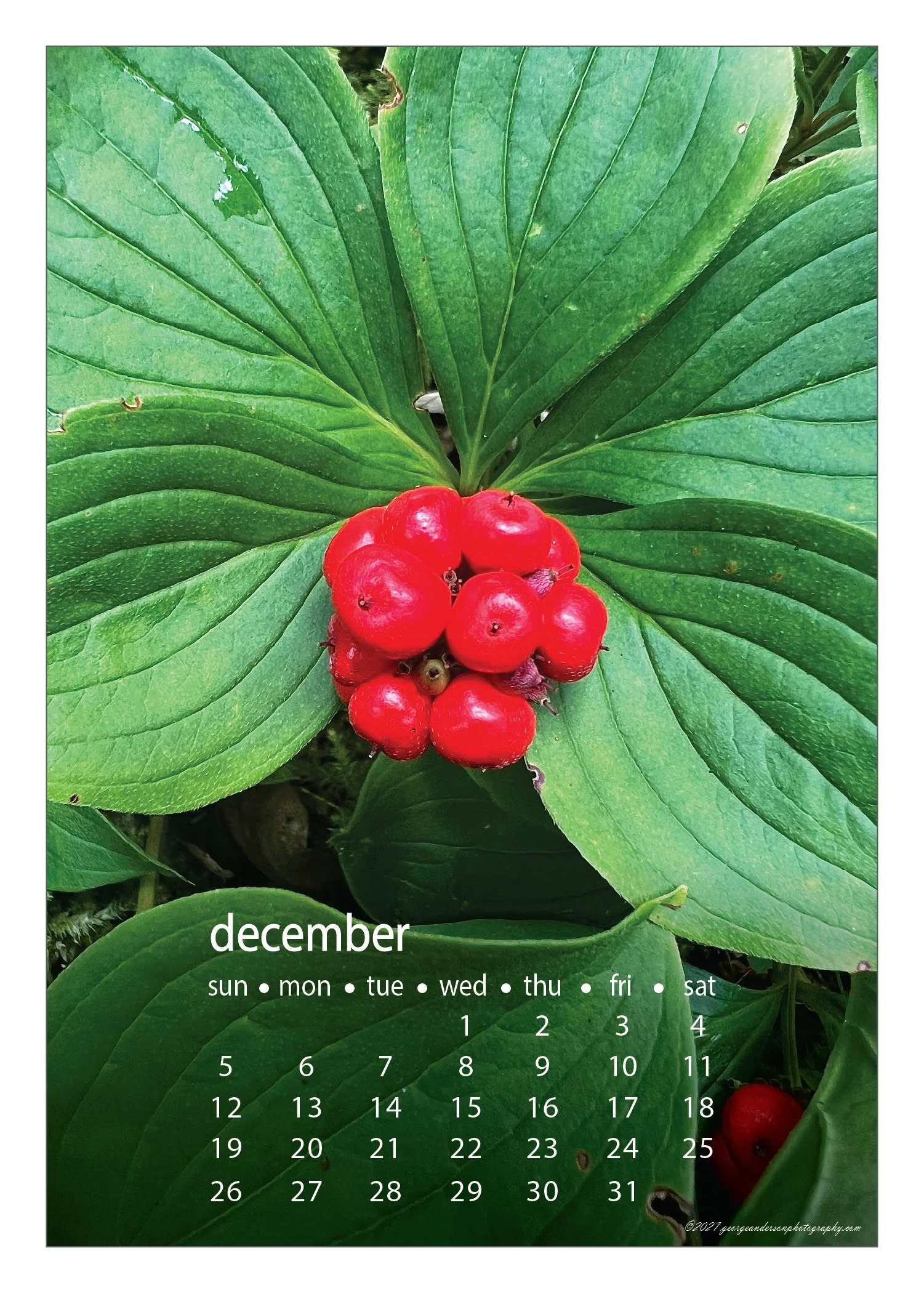 5x7 2027 Calendar Postcard-23.jpg
