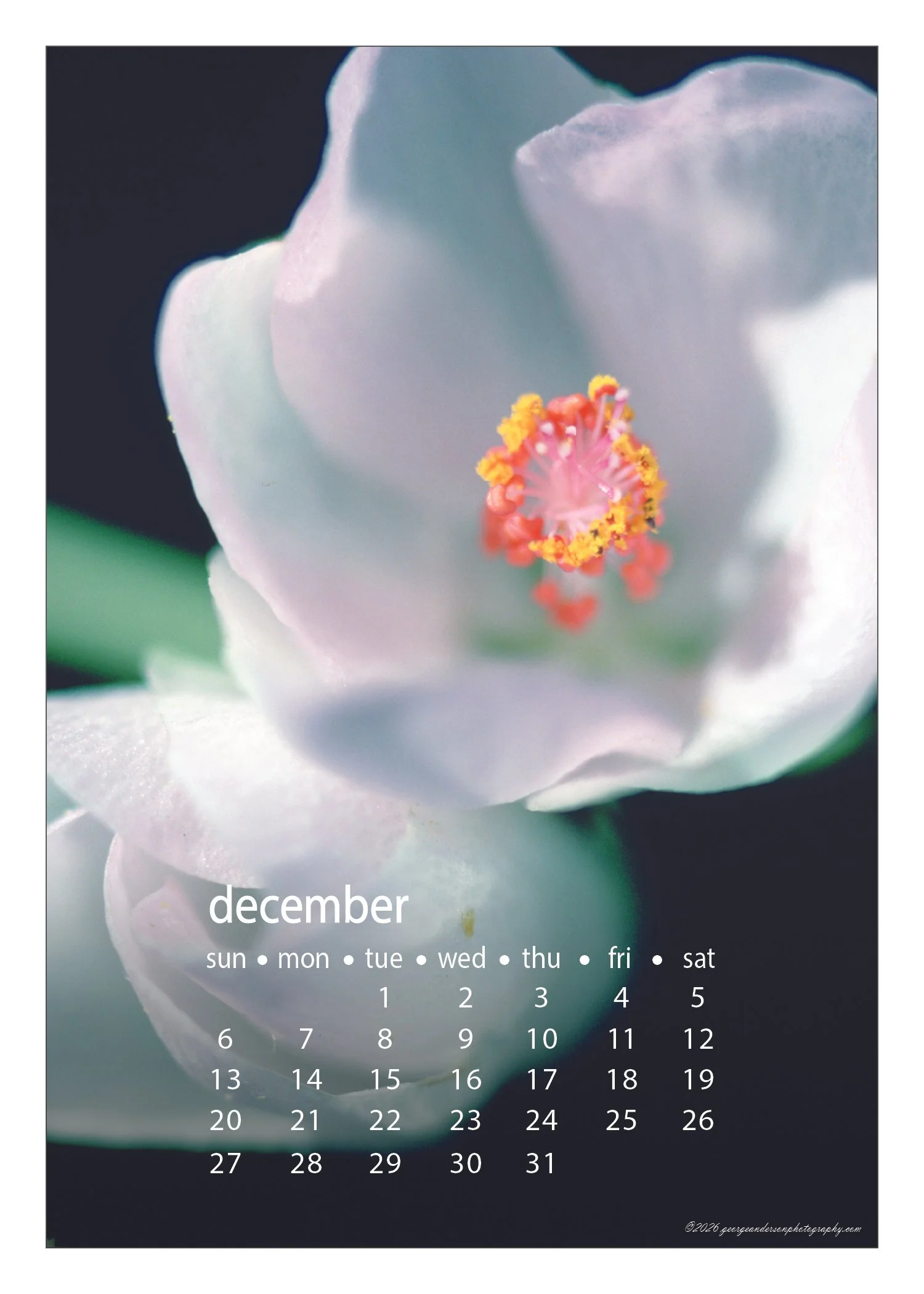 5x7 2026 Calendar Postcard-23 Dec.jpg
