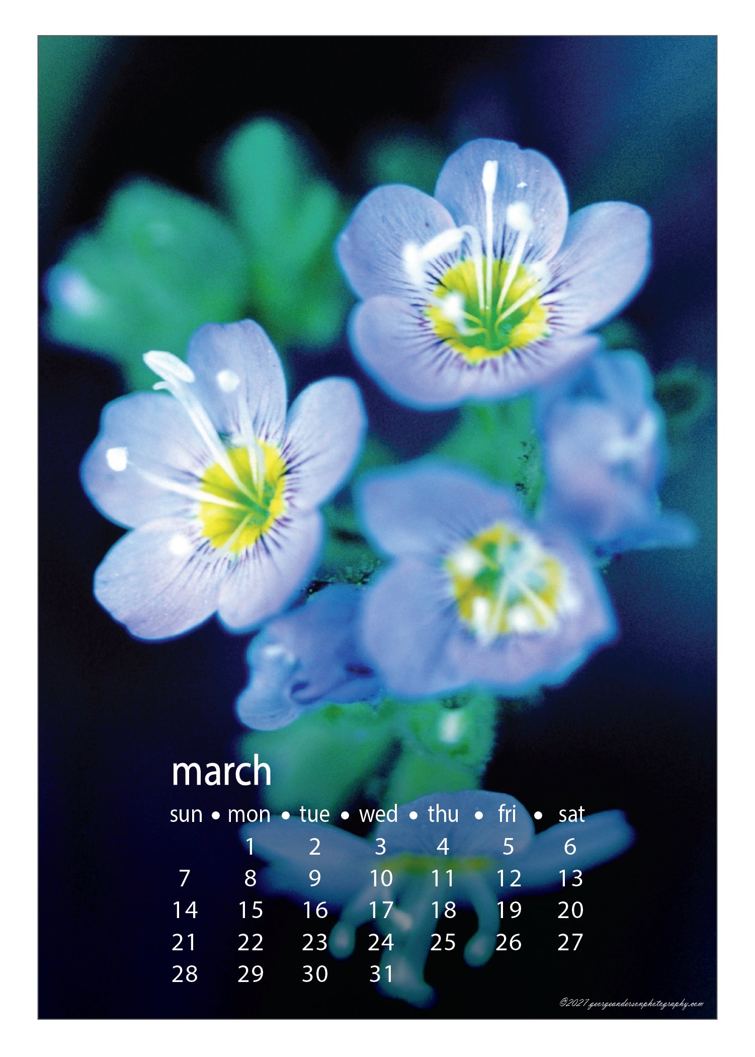 5x7 2027 Calendar Postcard-05.jpg