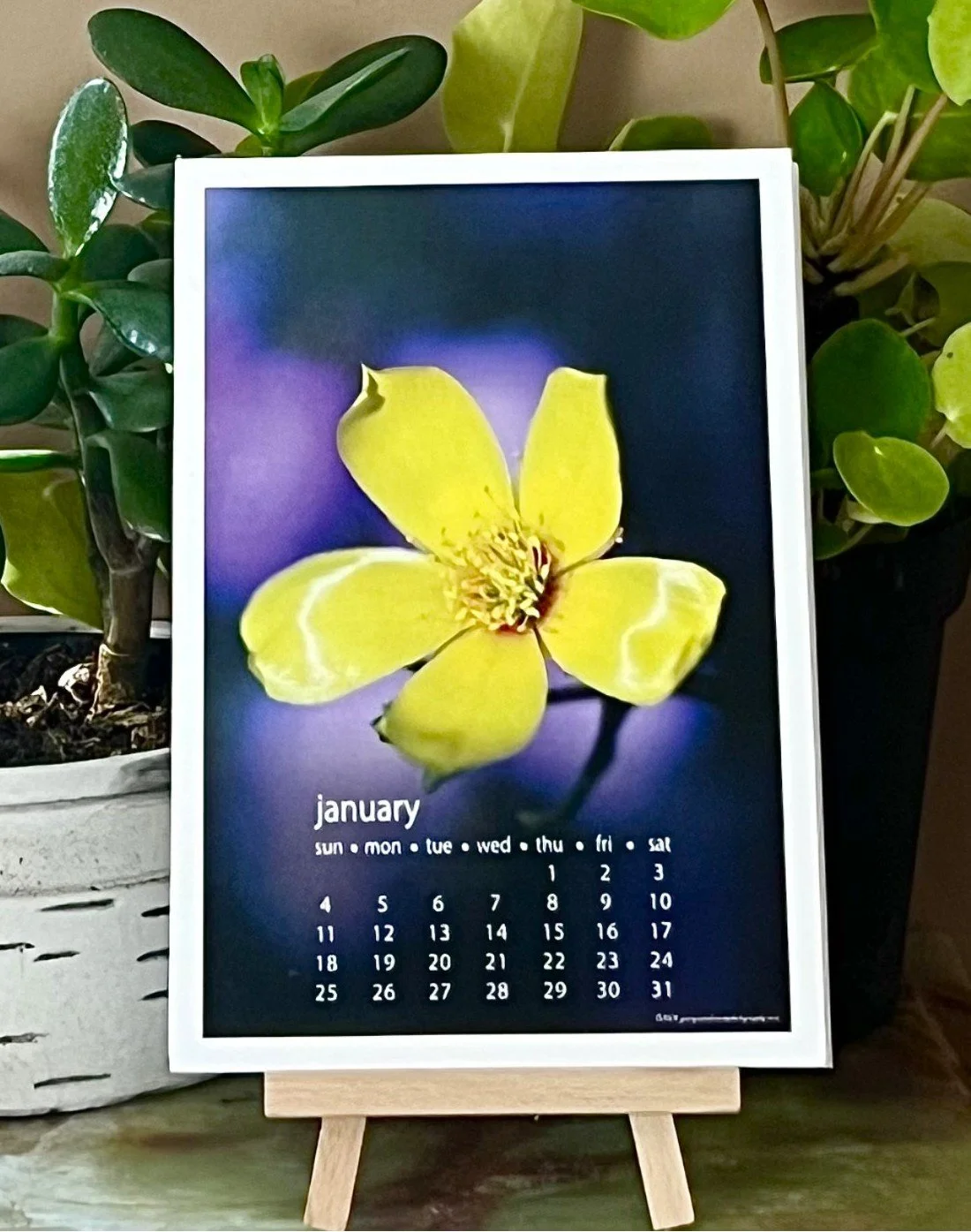 2026 Desk Calendar 5"x7" With Display Easel