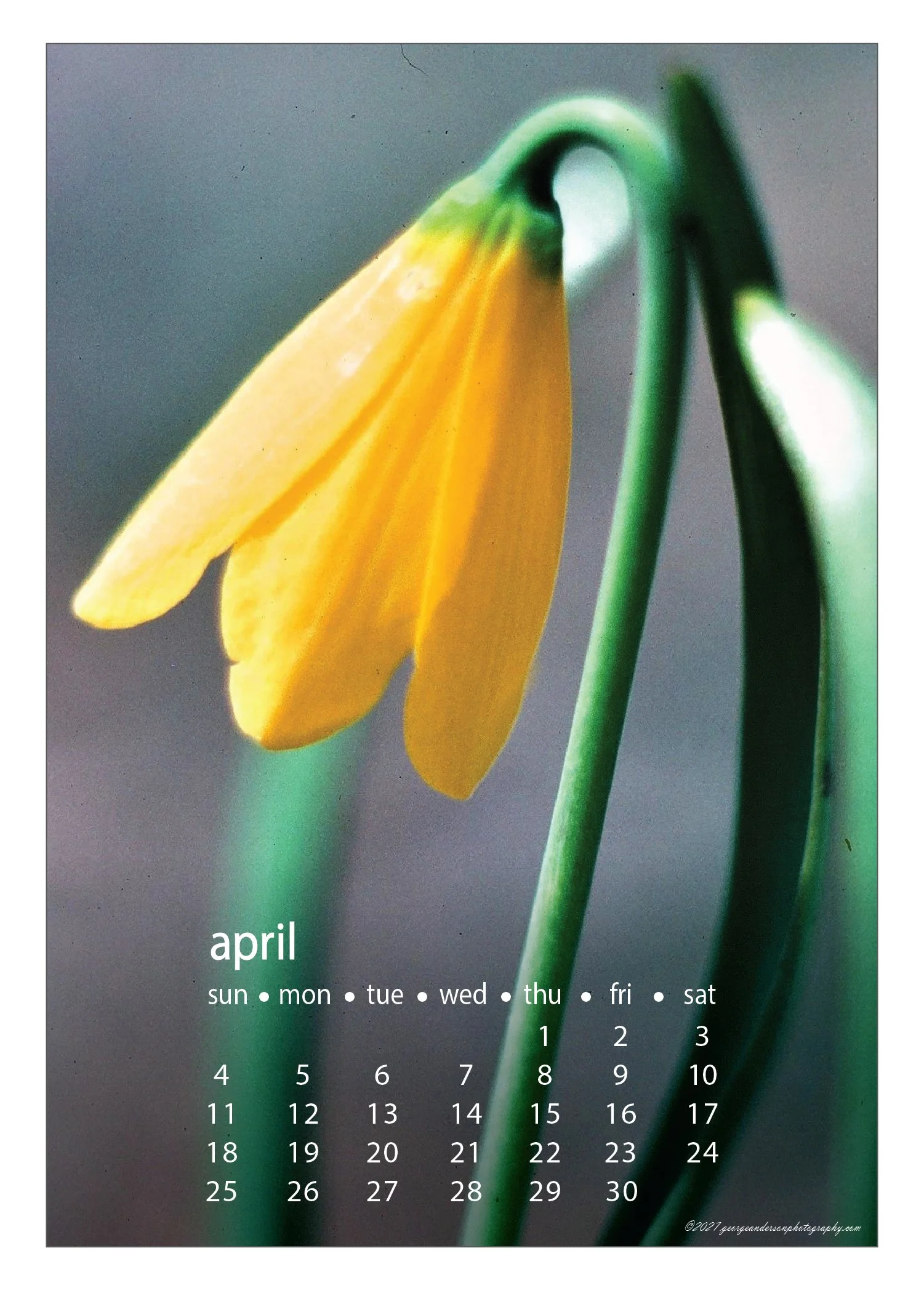 5x7 2027 Calendar Postcard-07.jpg