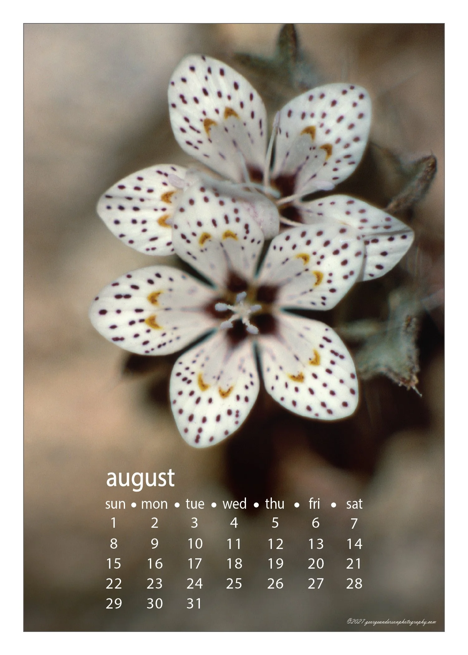 5x7 2027 Calendar Postcard-15.jpg