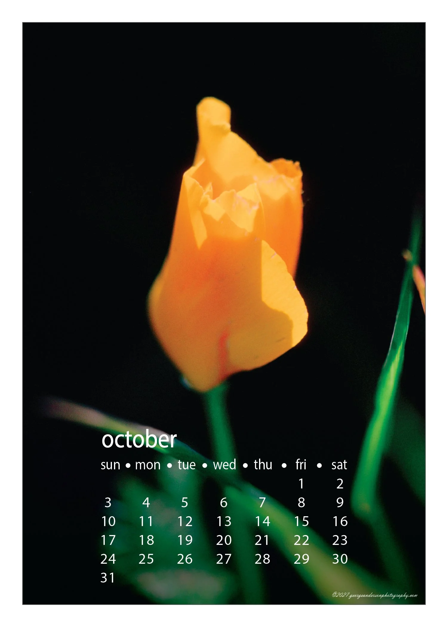 5x7 2027 Calendar Postcard-19.jpg