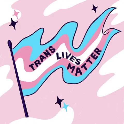 5713_Trans-Lives-Matter_original.gif
