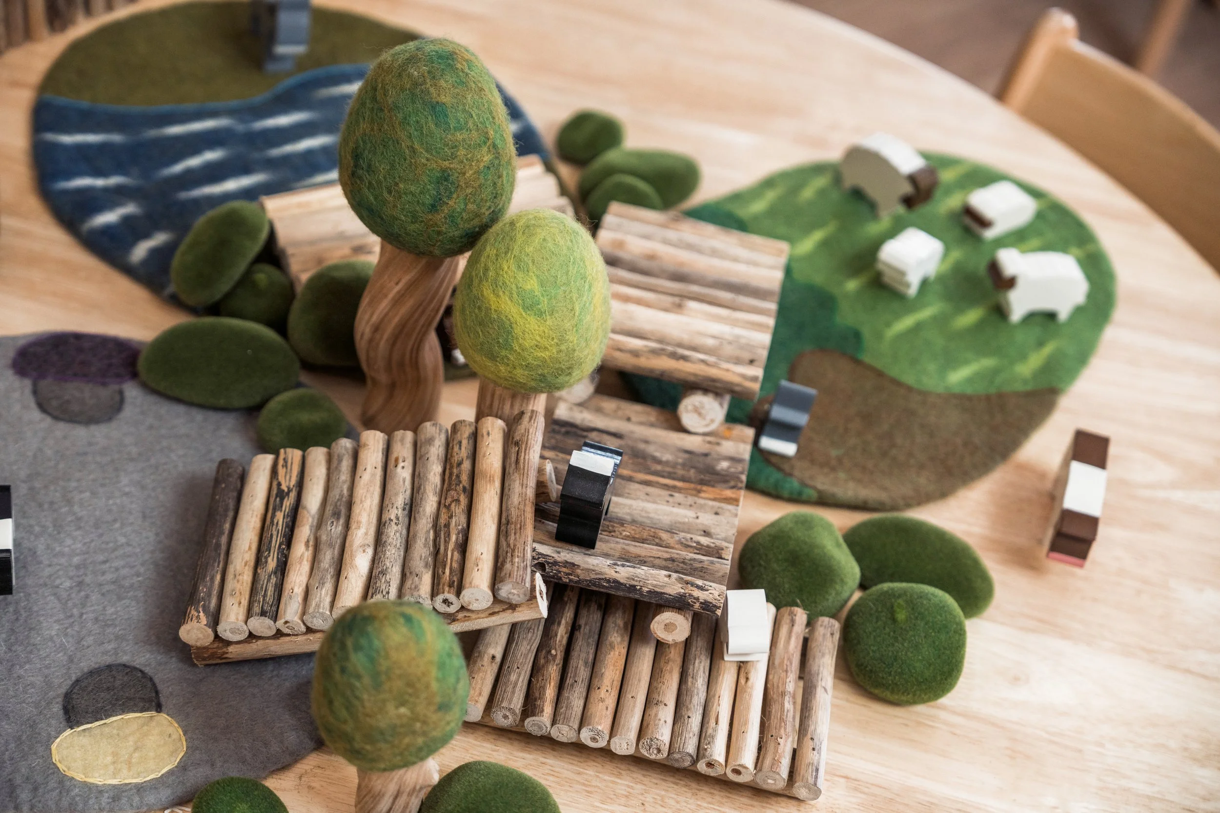 BILLY BUTTONS_CRAIGIEBURN-1602.jpg