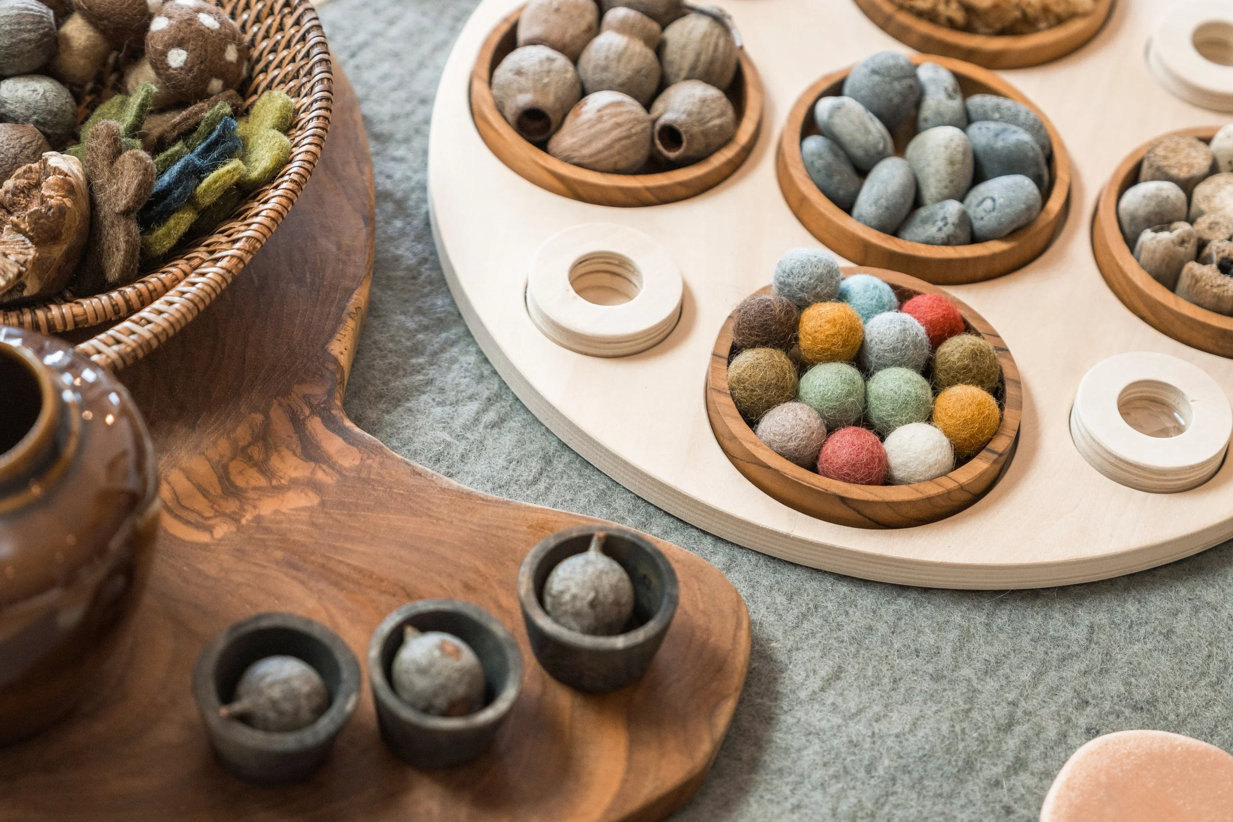 BILLY BUTTONS_CRAIGIEBURN-1444.jpg