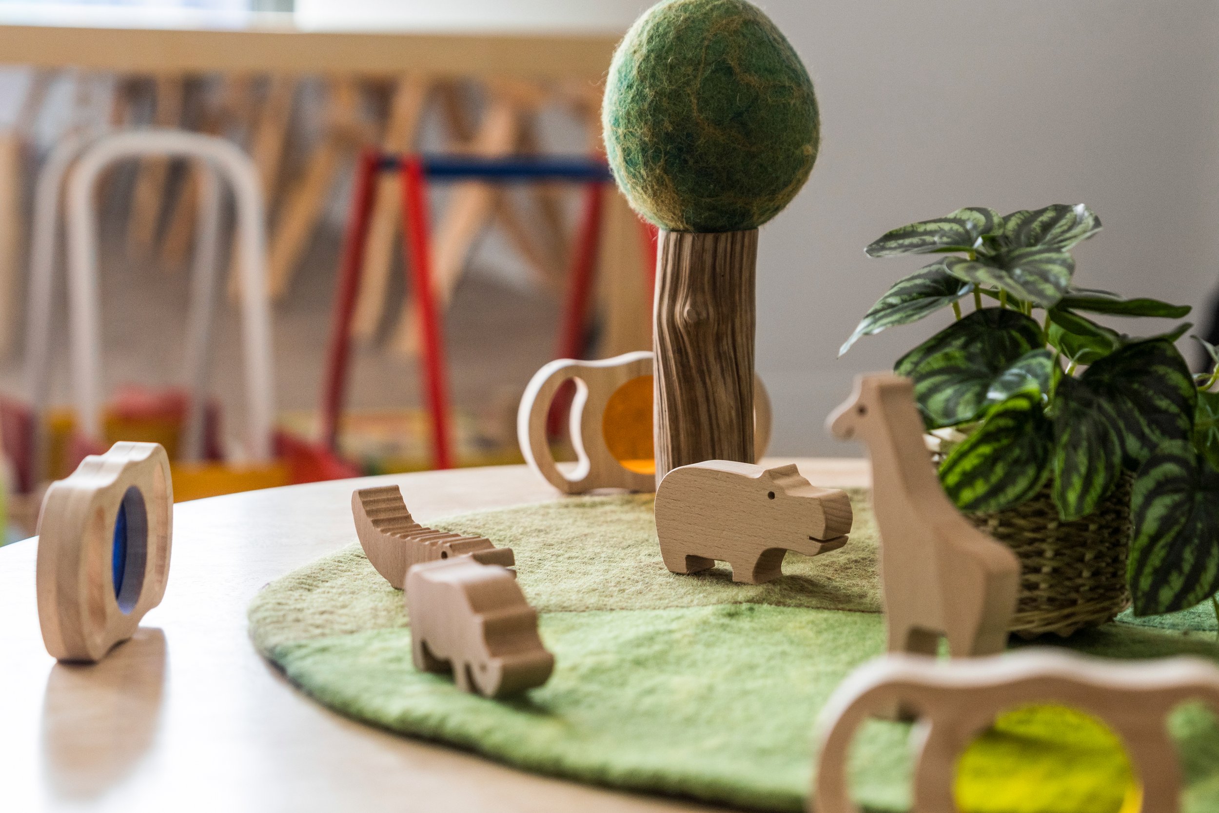 BILLY BUTTONS_CRAIGIEBURN-1038.jpg