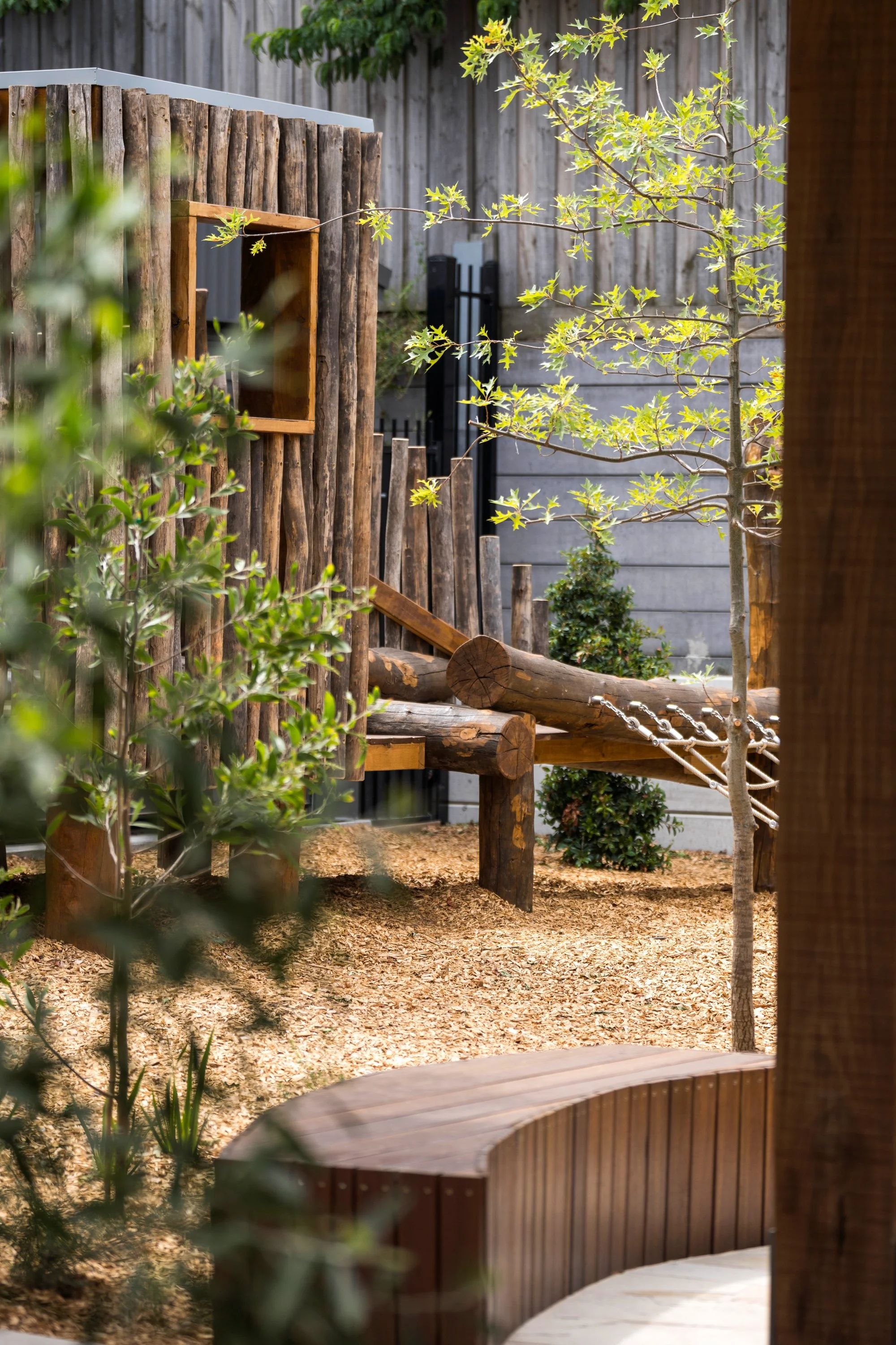 BILLY BUTTONS_CRAIGIEBURN-1798.jpg