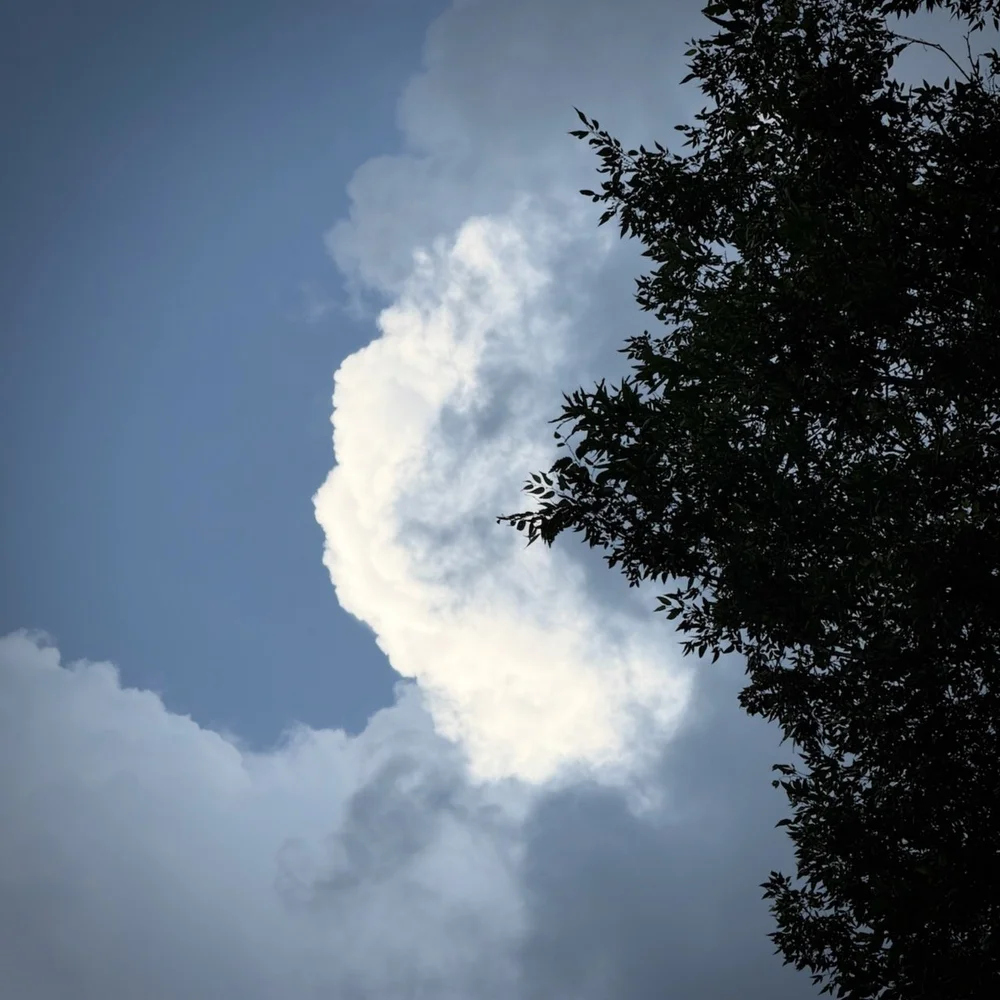 IMG_0385.jpeg