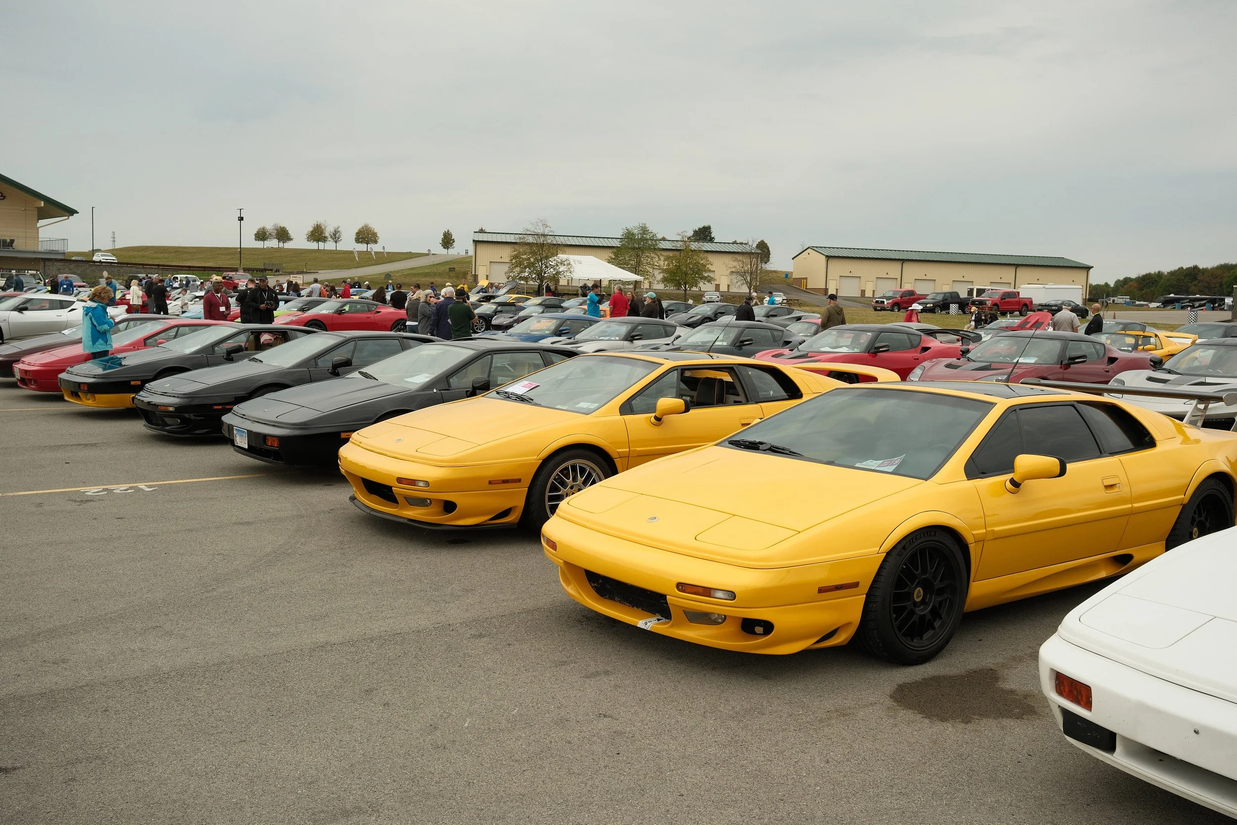LotusLog44_1329.jpg