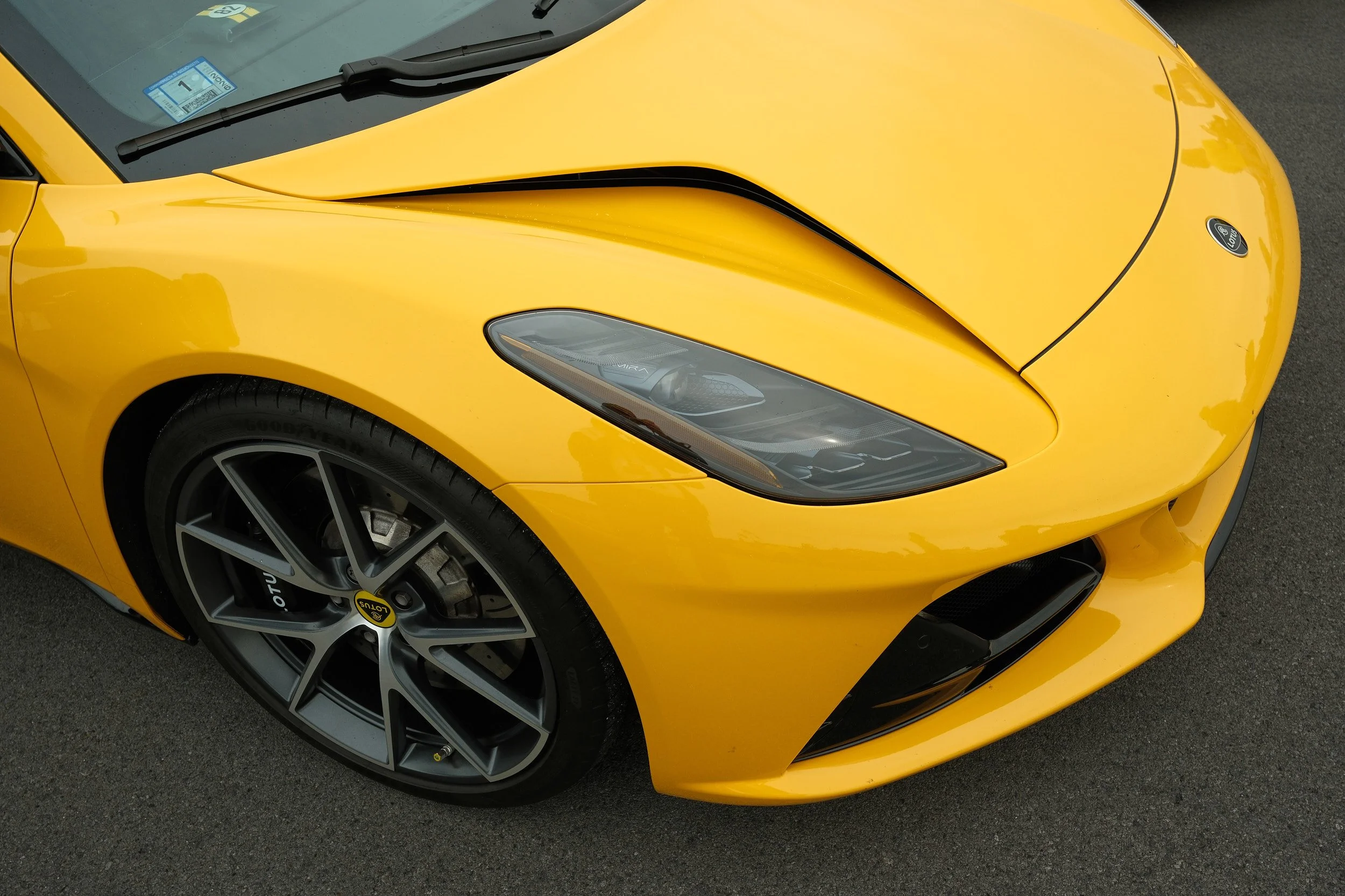 LotusLog44_1334.jpg