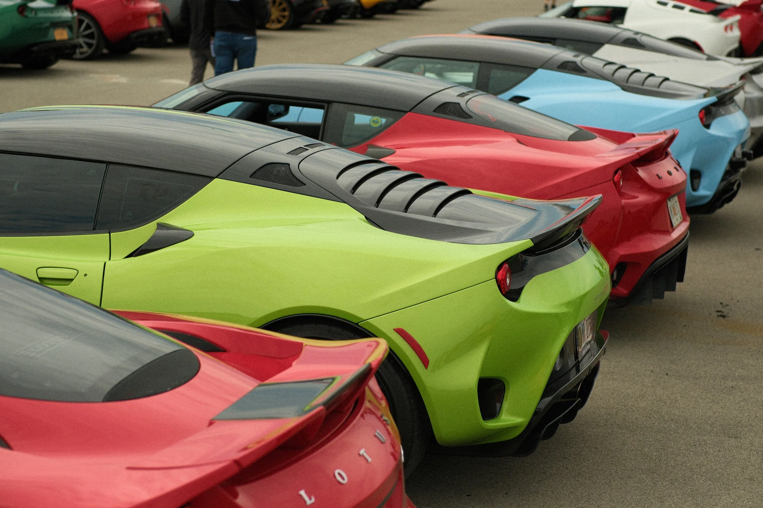 LotusLog44_1381.jpg