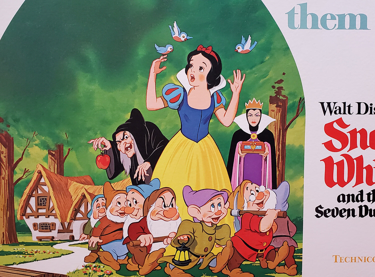 Snow_White_half_sht_closeup1.jpg