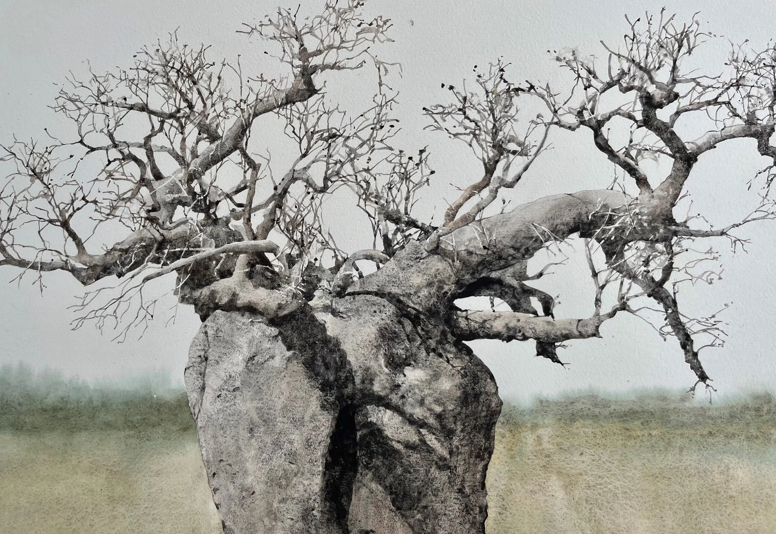 Tree 1 Derby