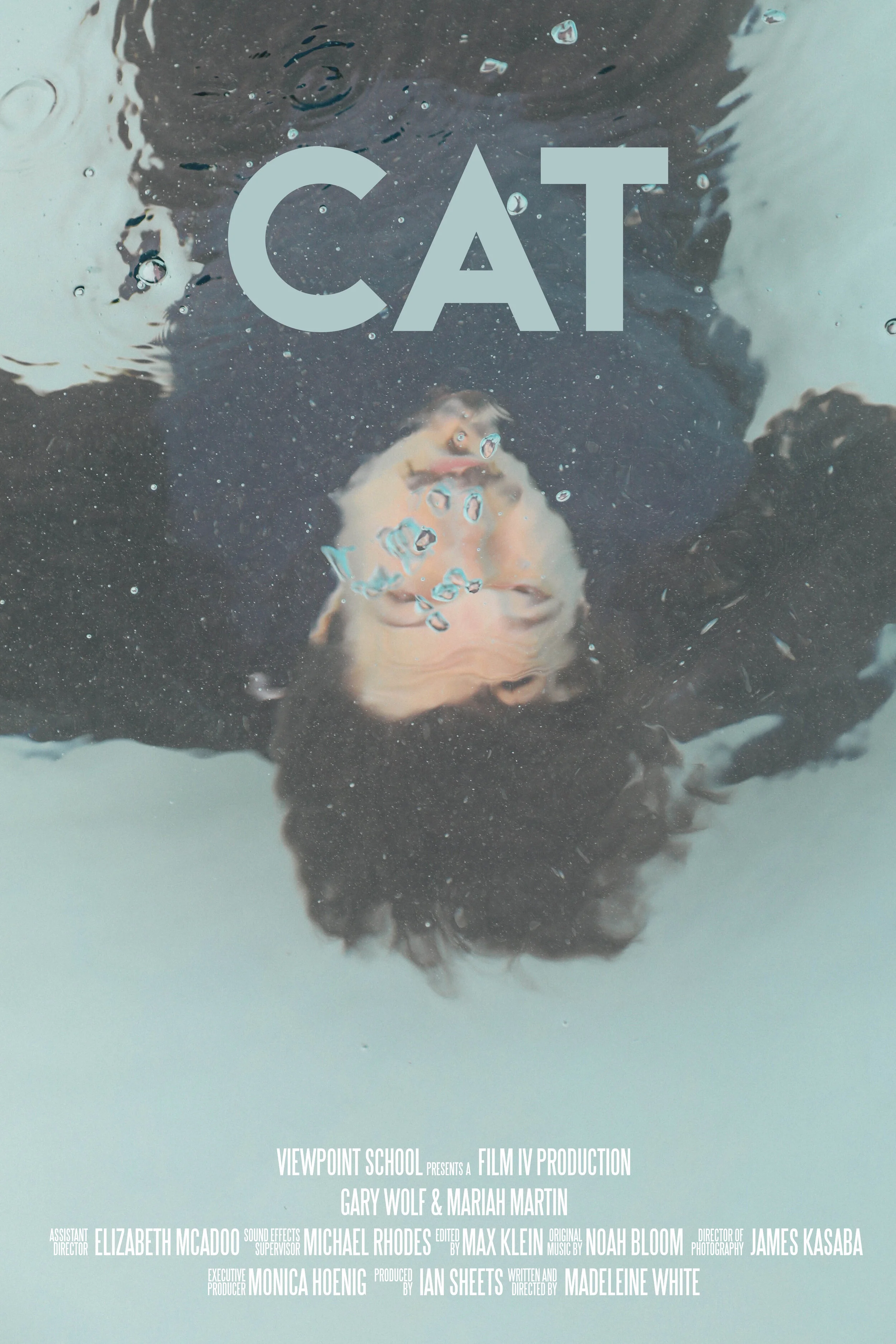 CATPOSTER-2.jpg