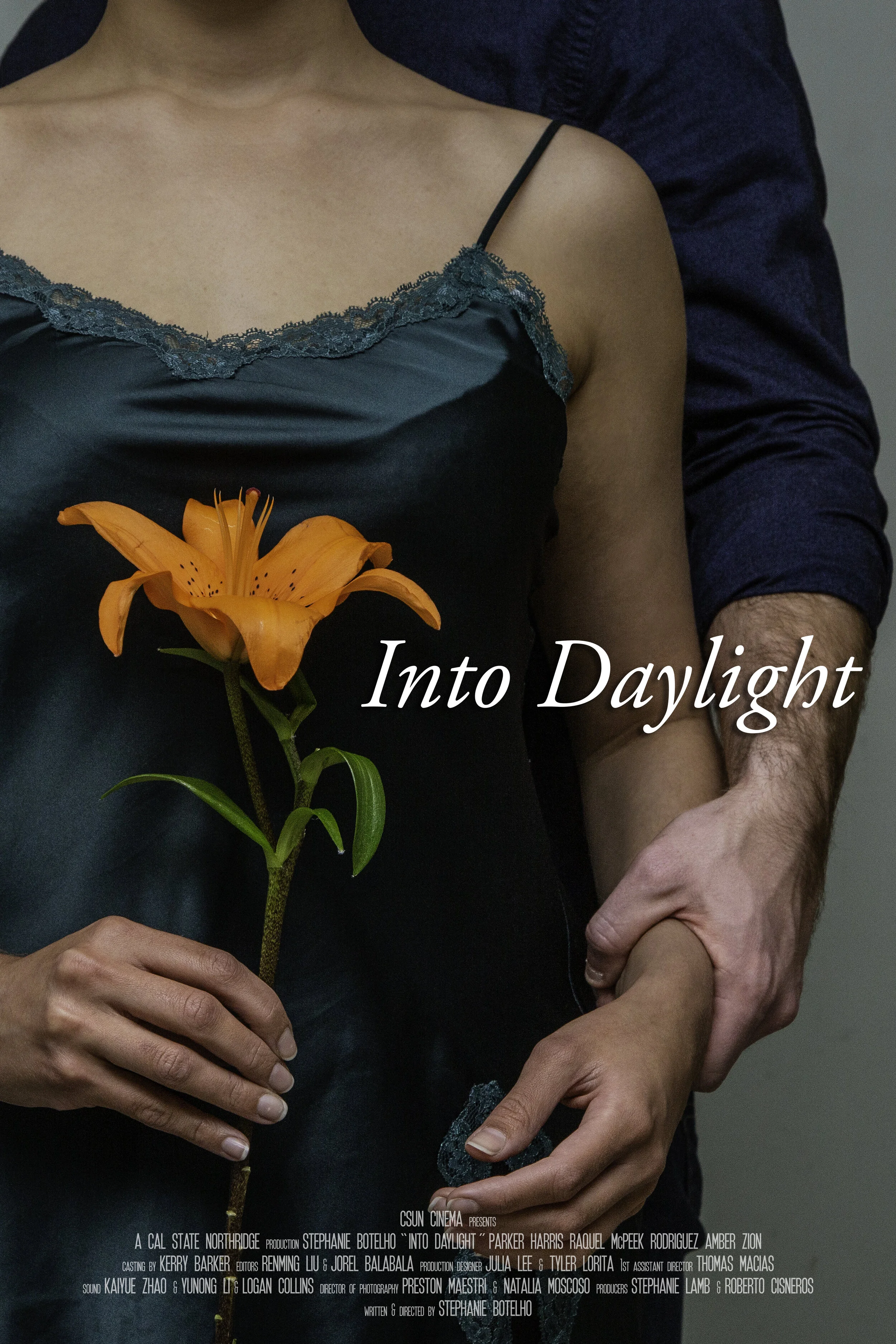 Into Daylight.jpg