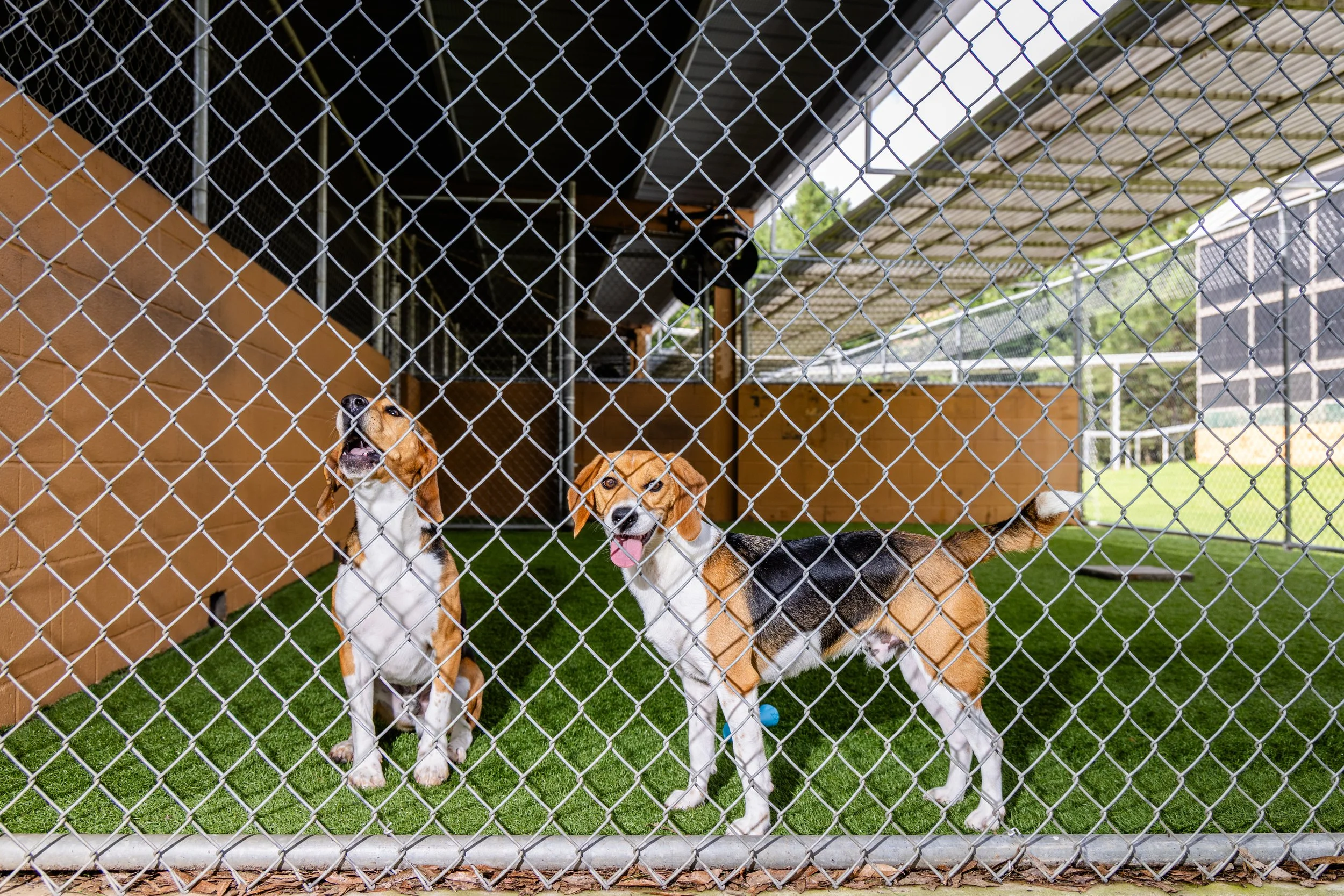 Photography by Dustin Chambers 