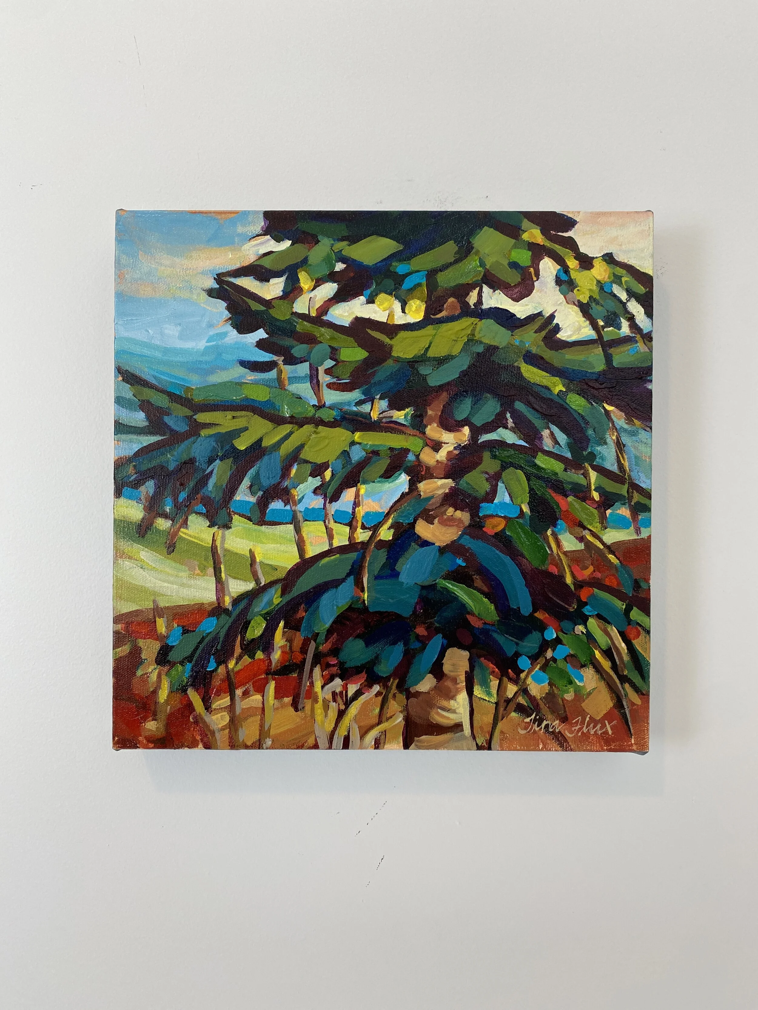 Warm Breeze 12x12 2019