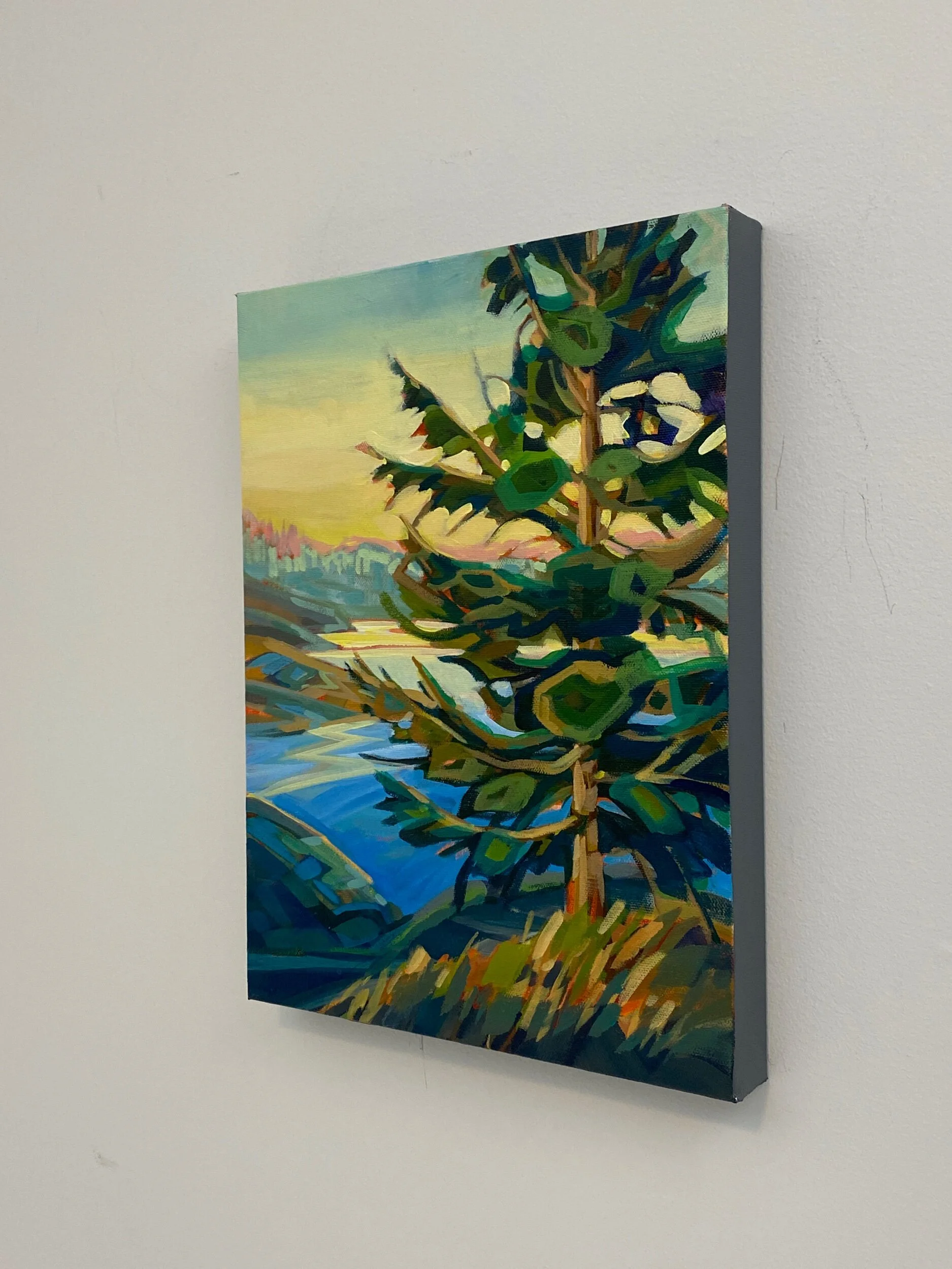 8DC2154D-E24F-4E25-A36E-4A4FDEDB0F64