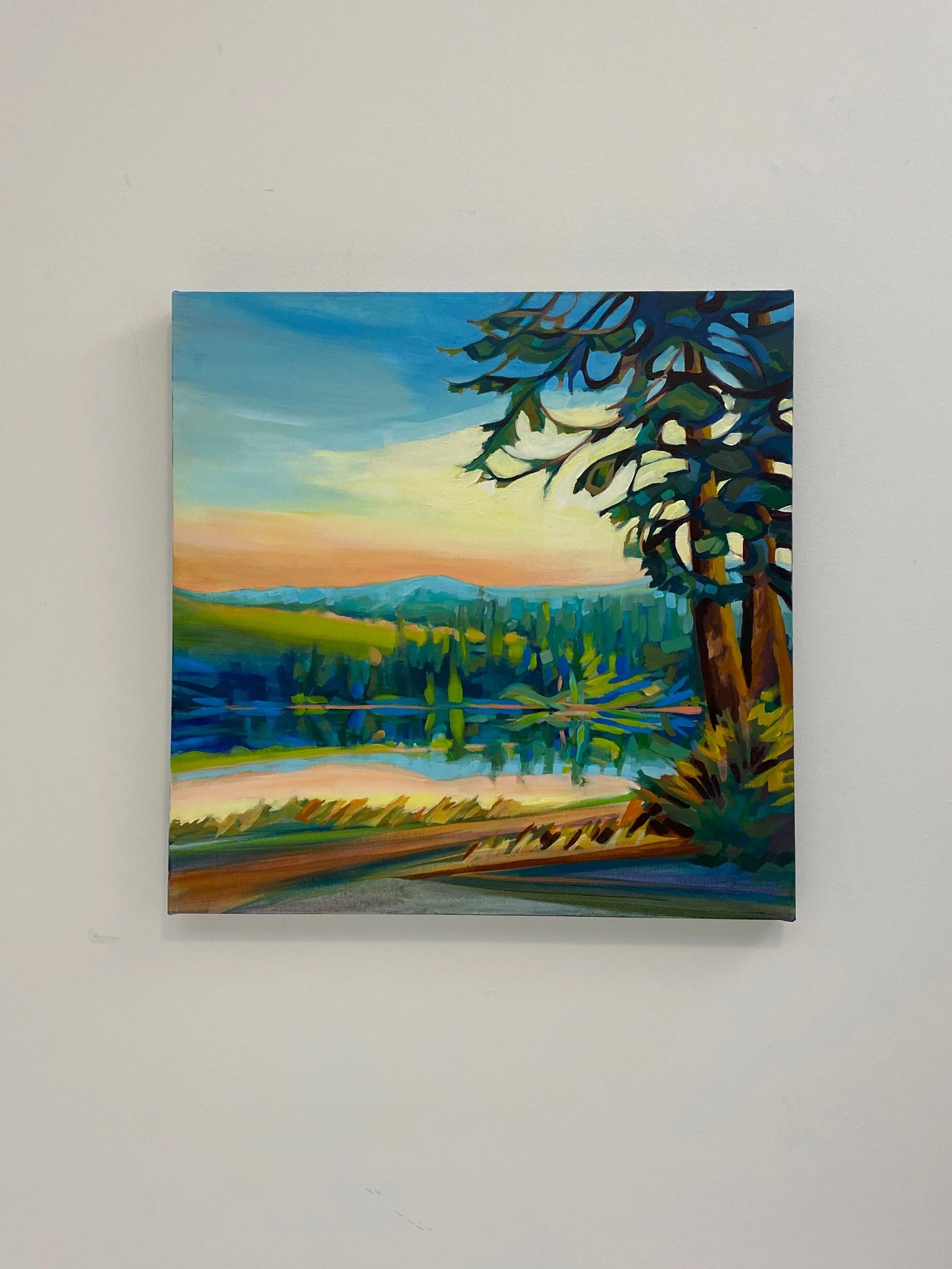 FC85B2AB-5EB9-41FB-BE19-EB421C50775A