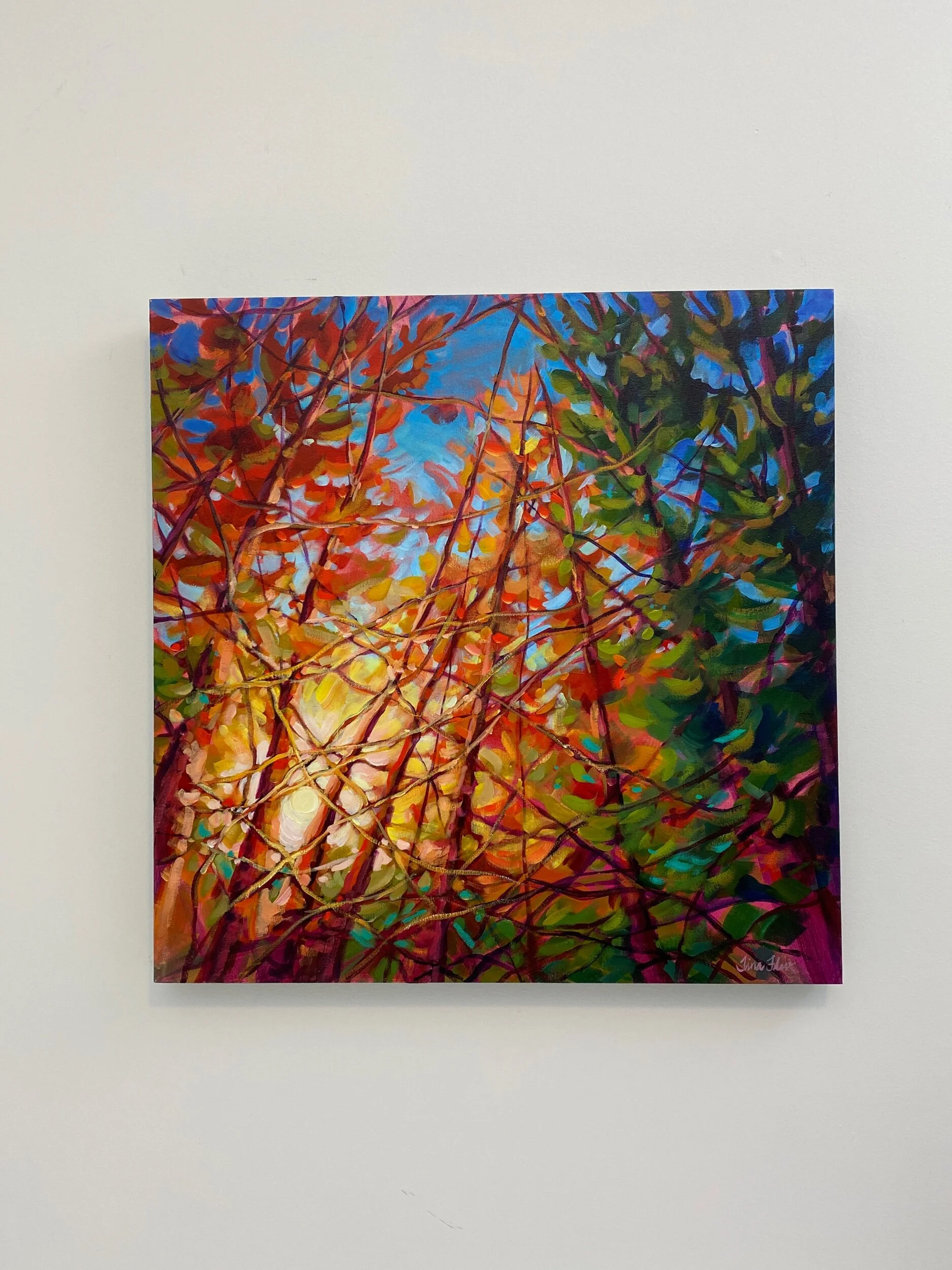 CE079A68-E10B-4912-89A7-98AE8593C221