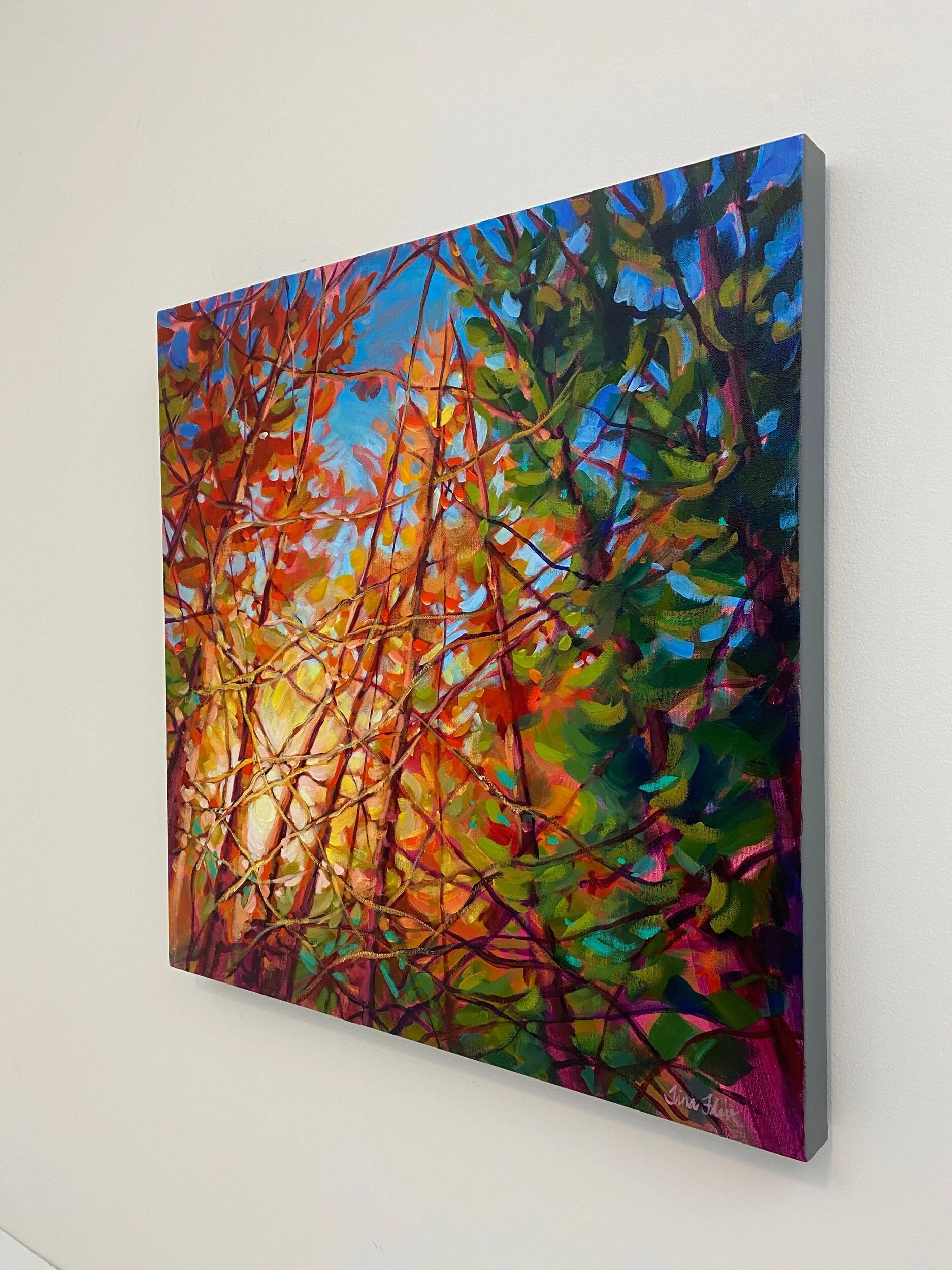 DD0C23FD-92C0-409A-B770-7A1B84950801