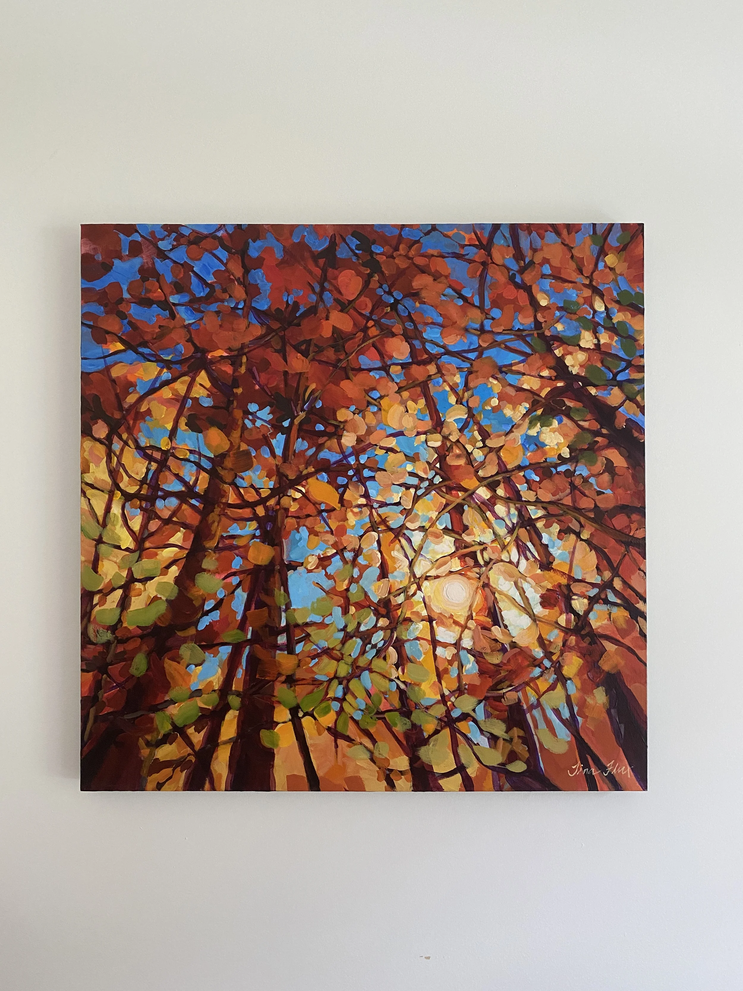 Autumn Canopy_0751.JPG