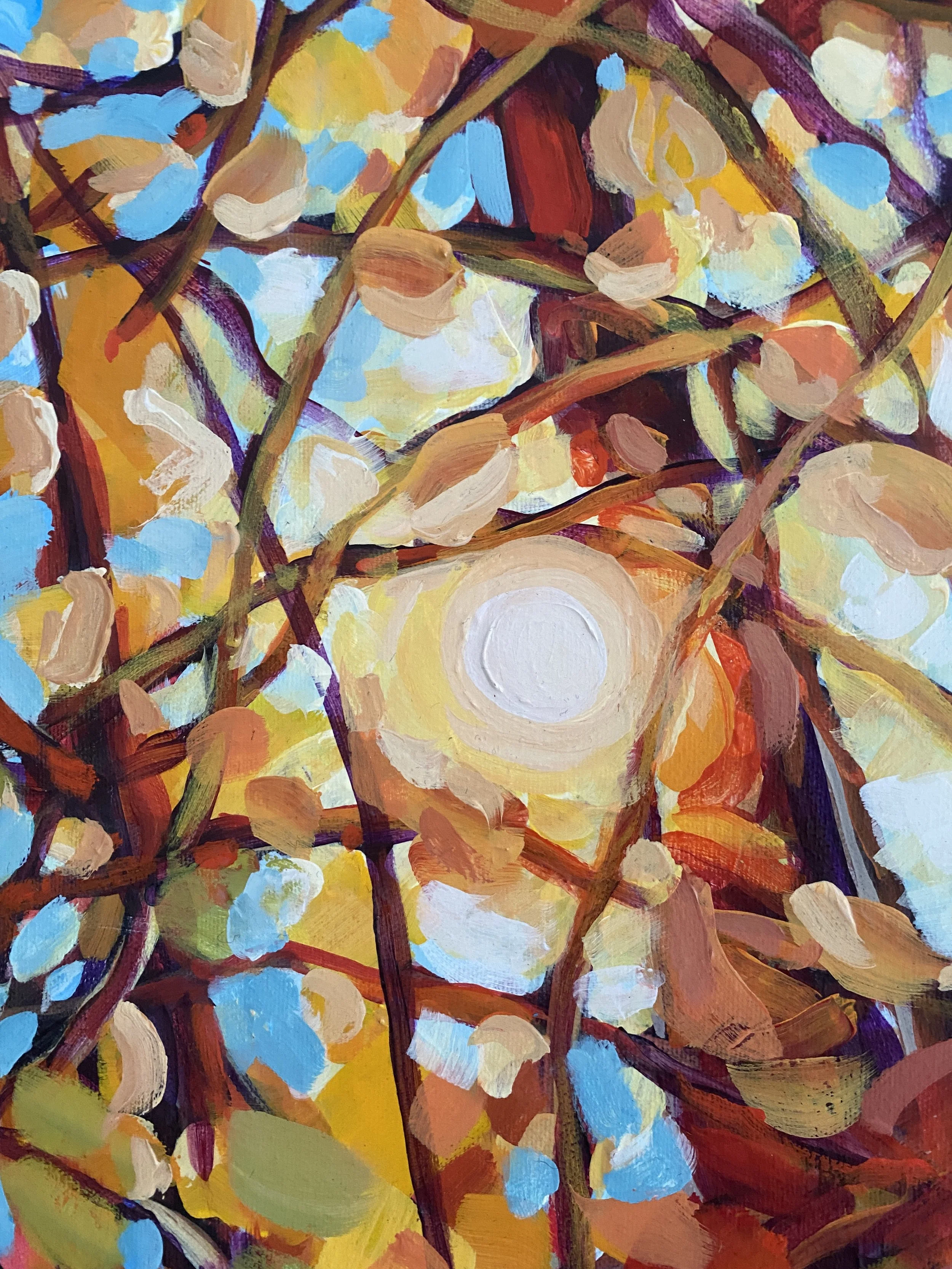 Autumn Canopy_0753.JPG