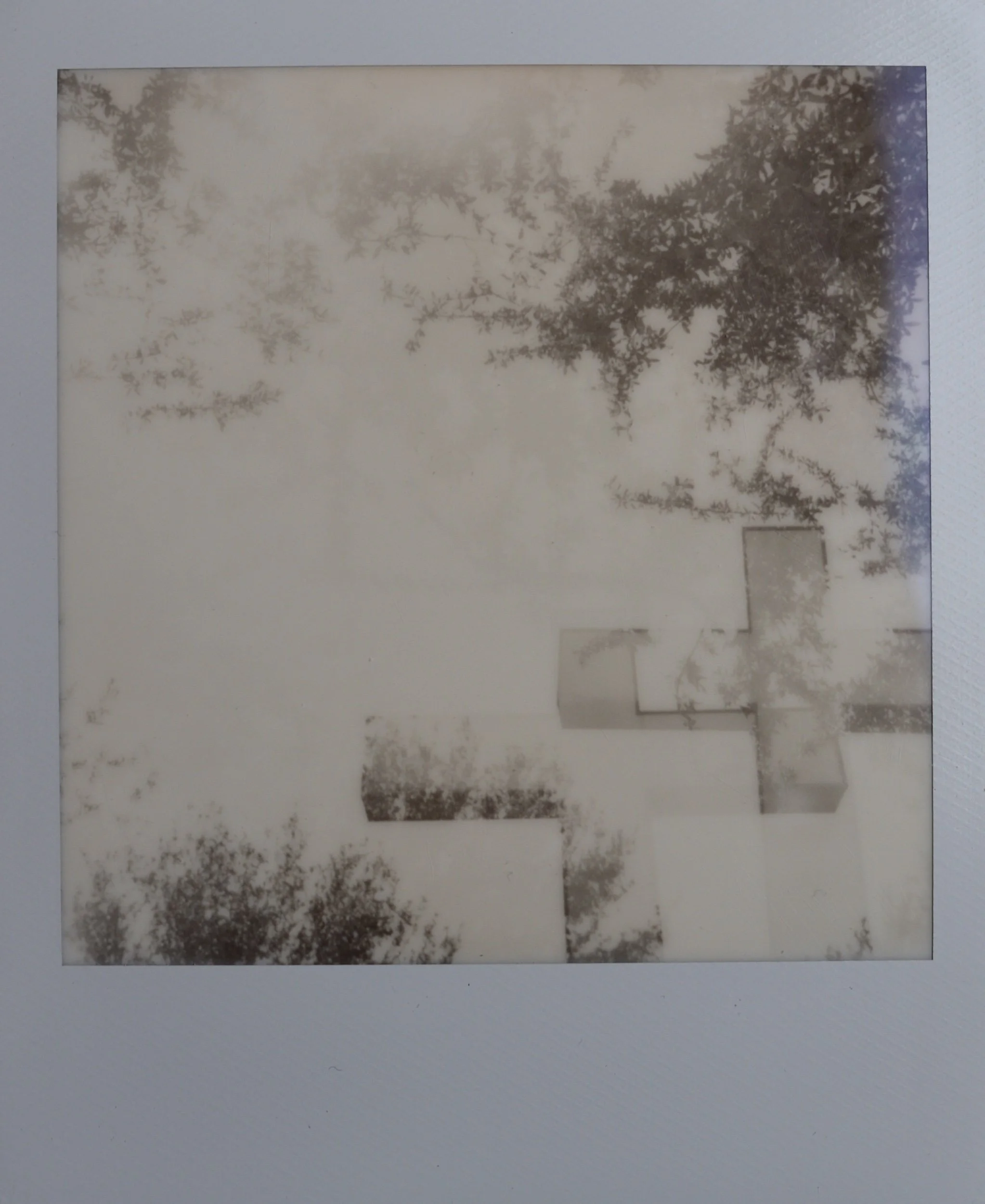 dsc_4699_00001.jpeg