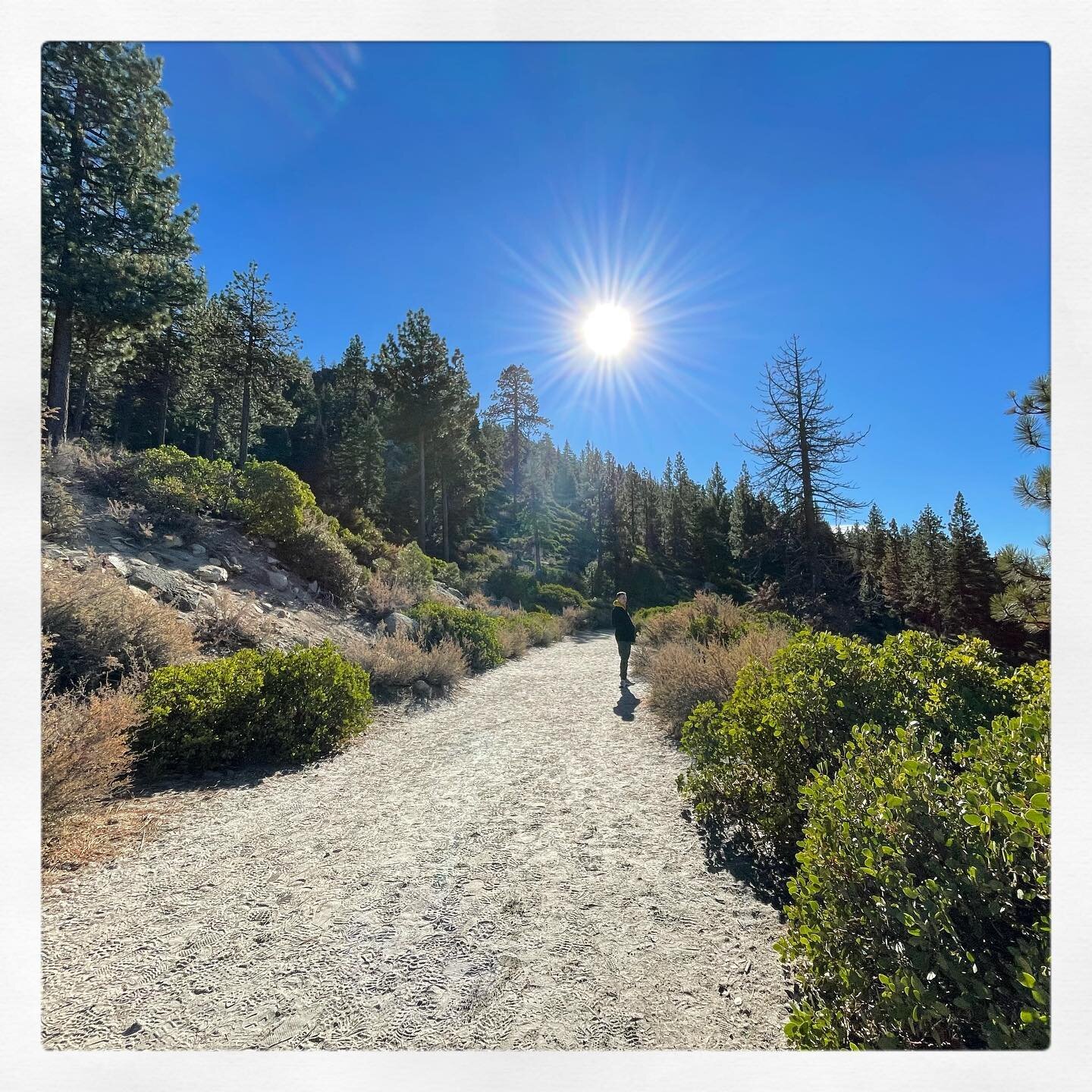 That November Sunshine ☀️ 

#laketahoe #staylocaltahoe #nature #hiking #travel #tahoe #california #nevada #tahoelove #visittahoe #optoutside #lakelife #winter #anniversary #cali #sunshine